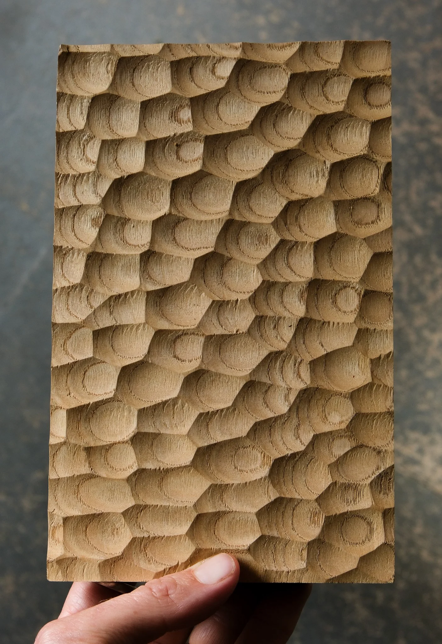 DSCF6493.jpg