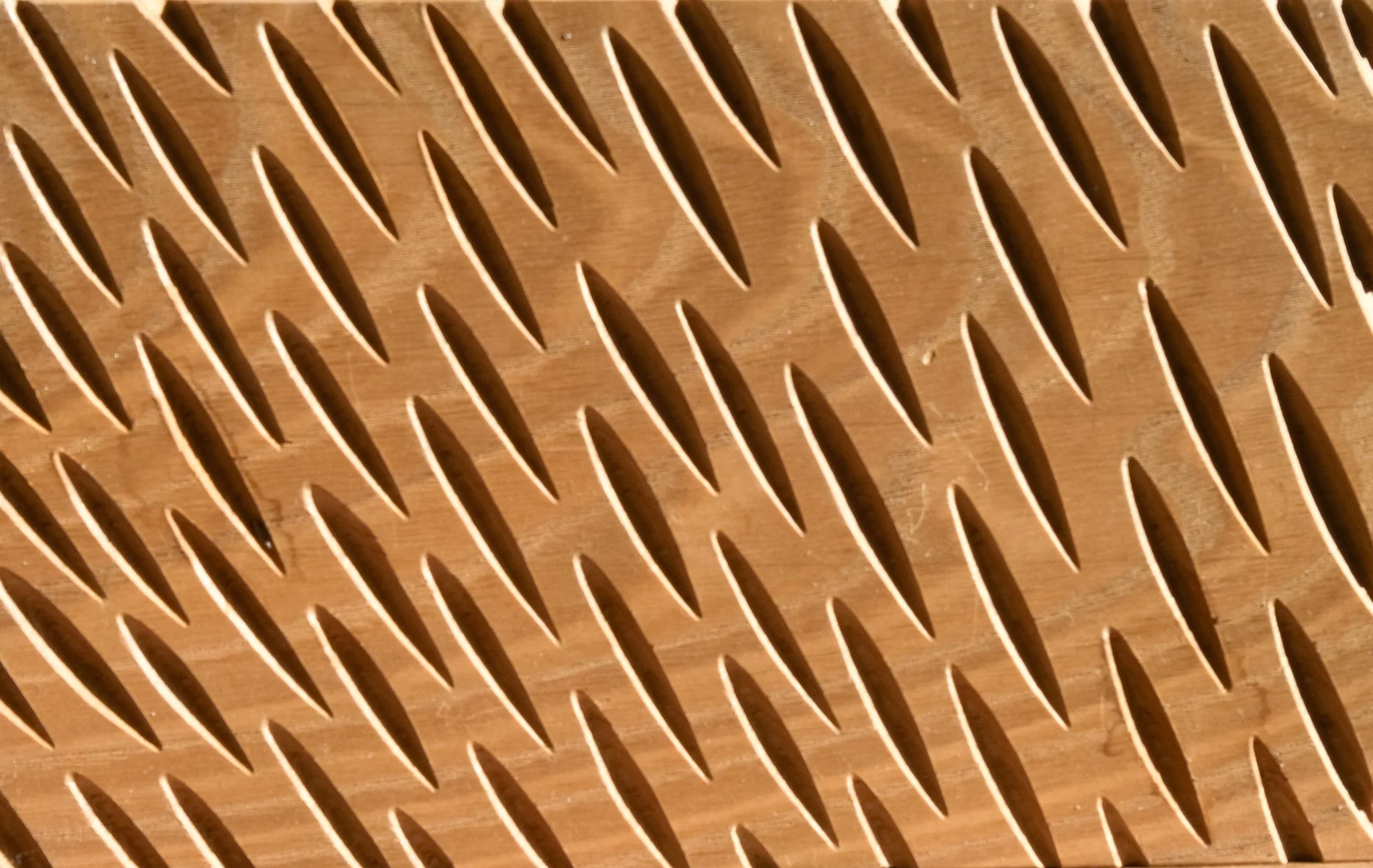 DSCF6572-2.jpg