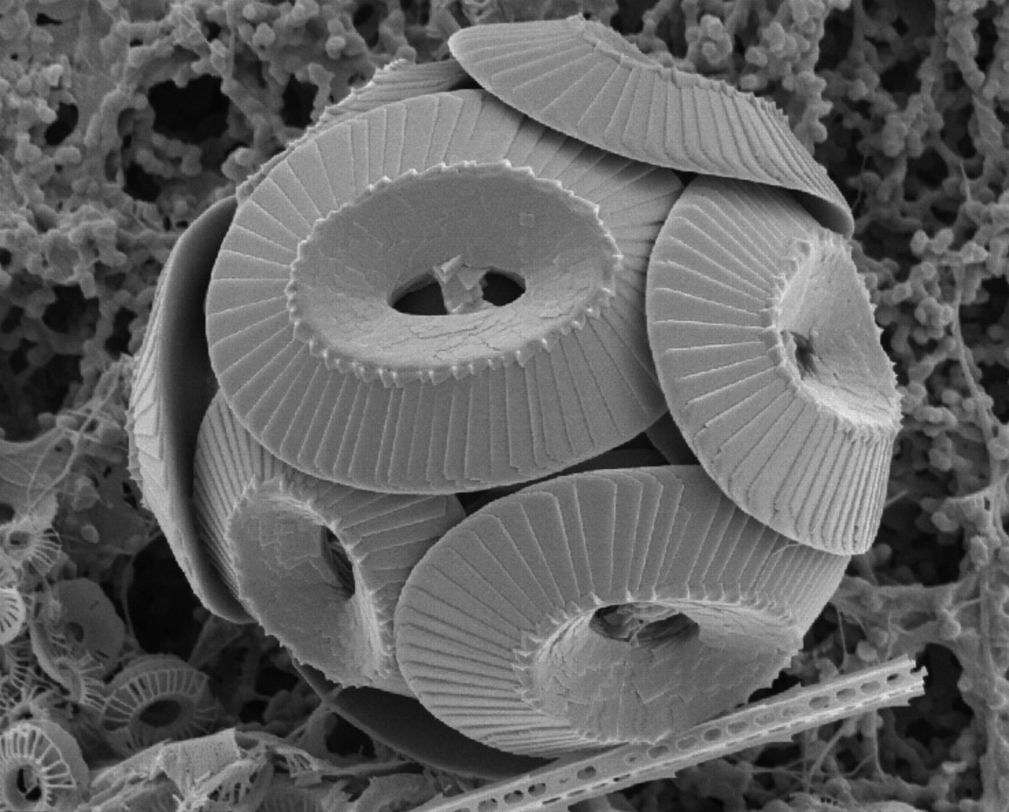 Screenshot 2026-01-13 at 12.55.46.png