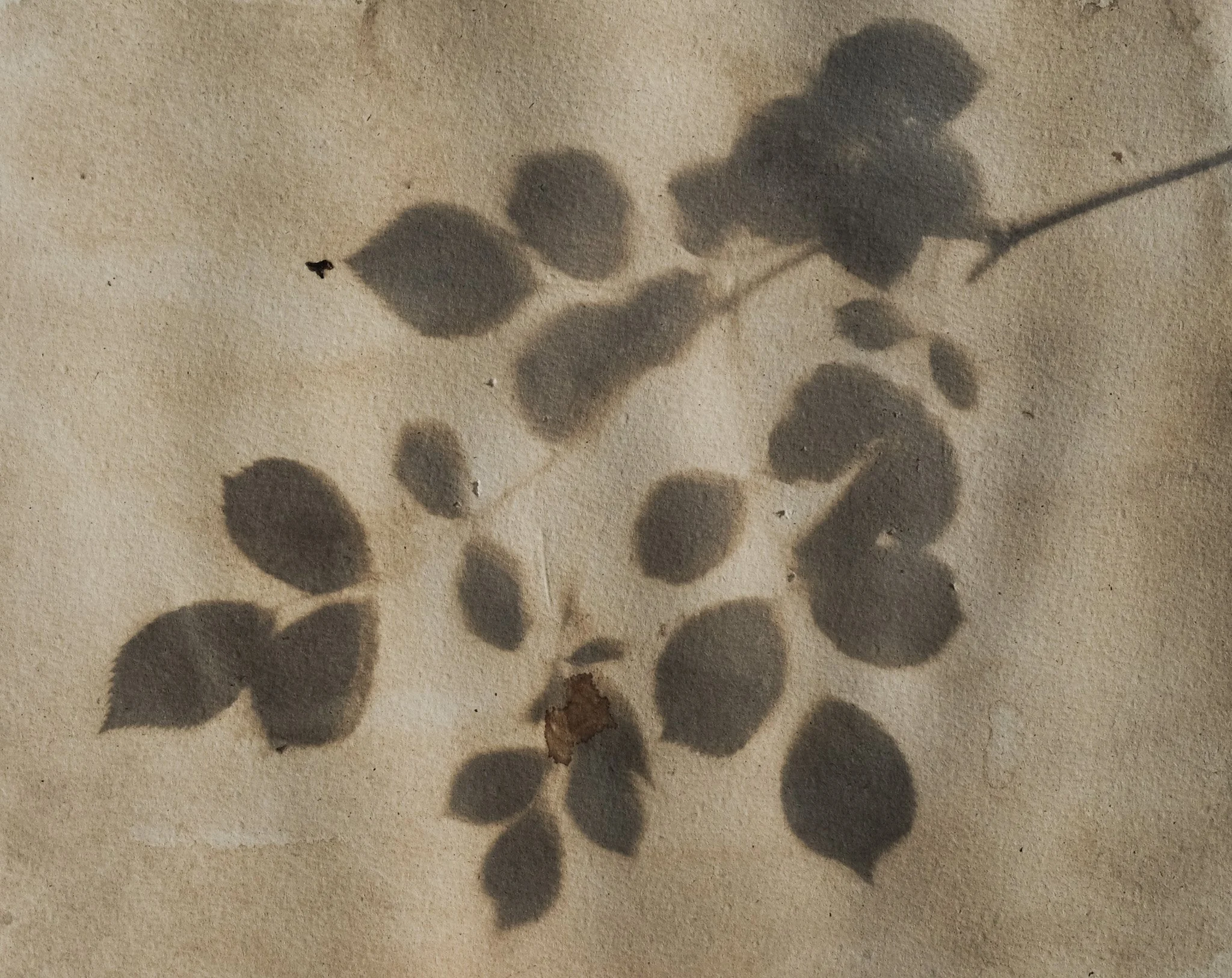 DSCF6087.jpg