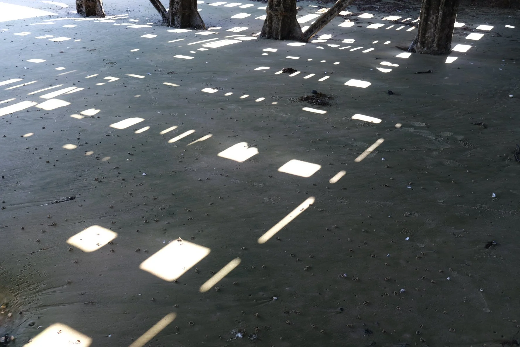 DD5D265E-58C3-4AC5-8525-C6CD80B519FF-12684-000005214391F432 2.JPG