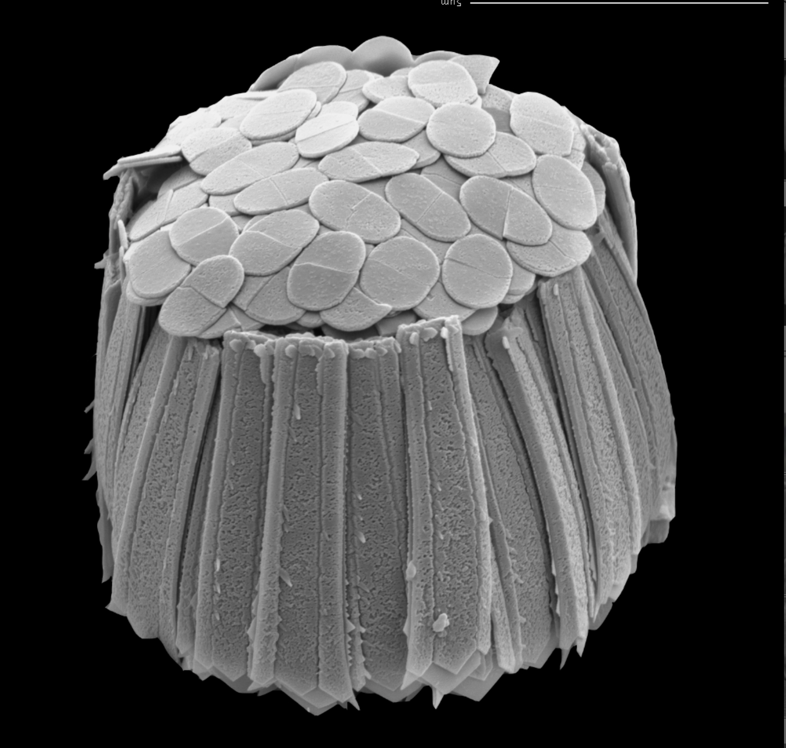 Screenshot 2026-01-13 at 12.24.07.png