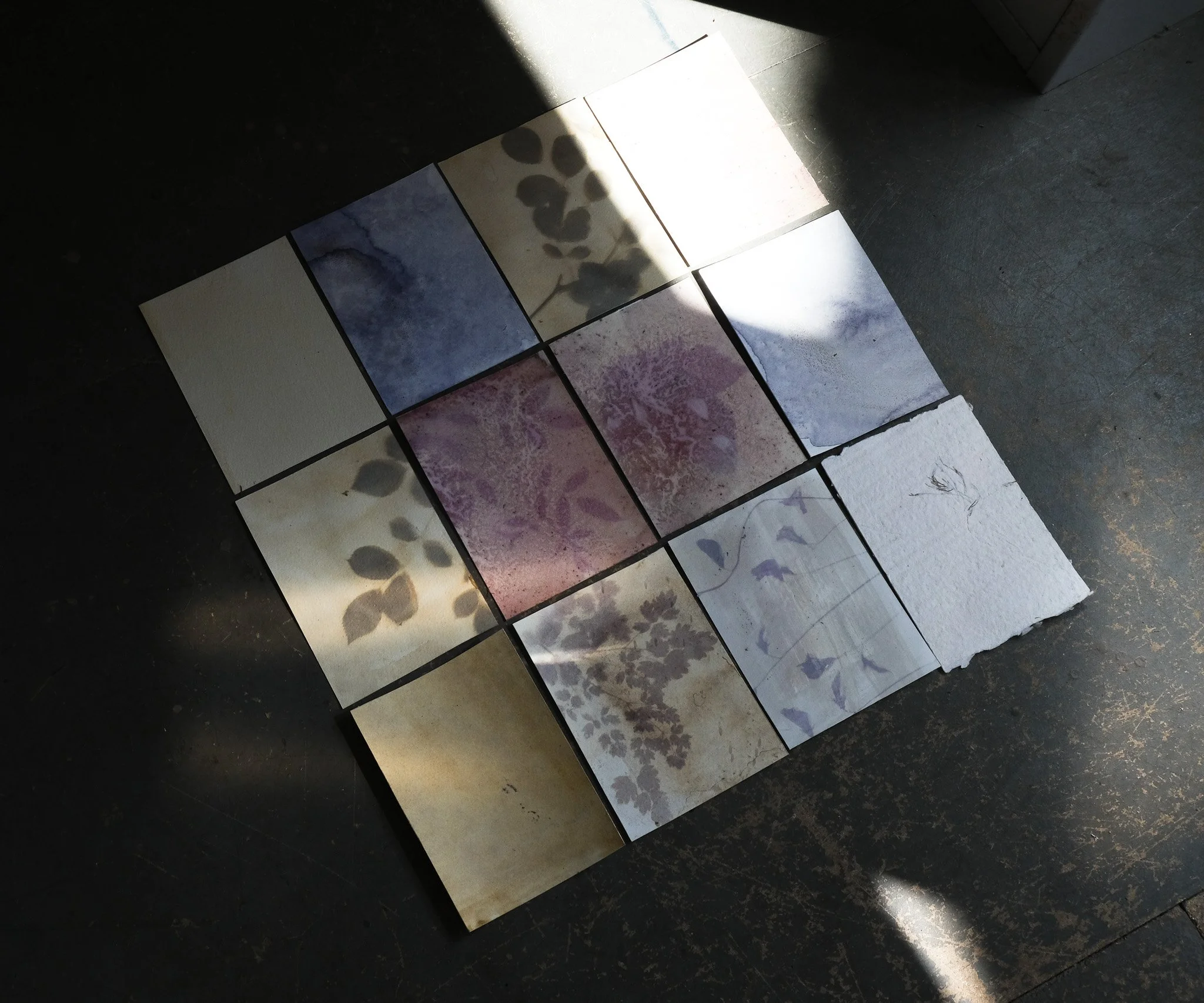 DSCF6413.jpg