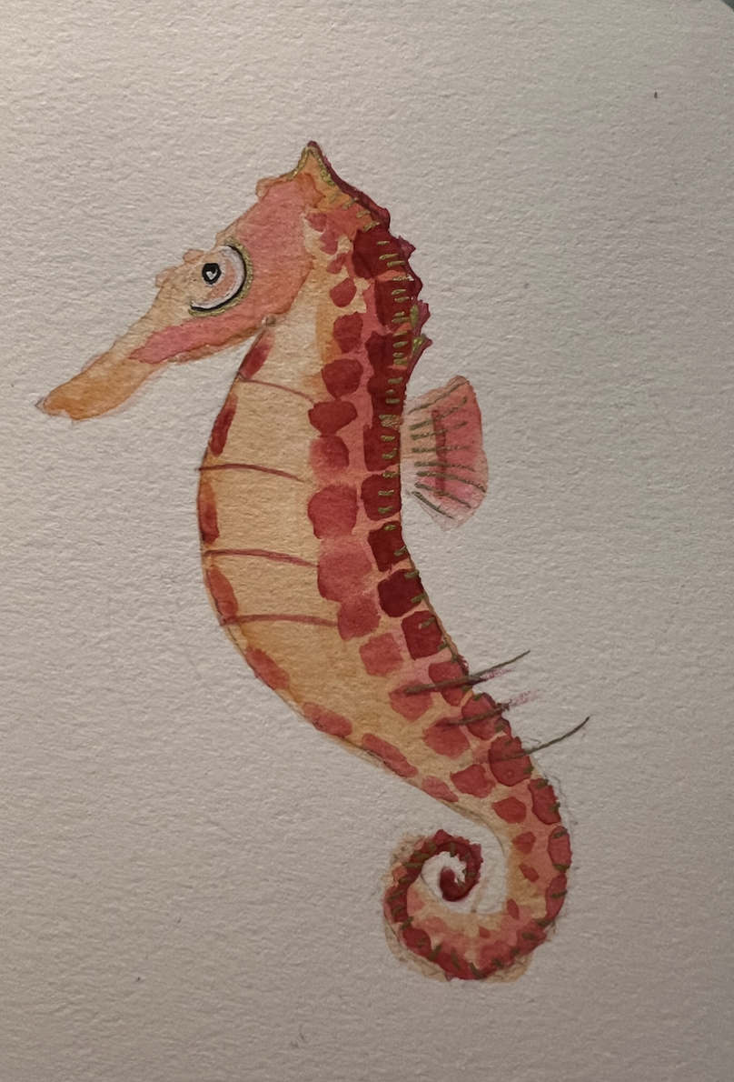 The Seahorse and the Lobster- A true love story