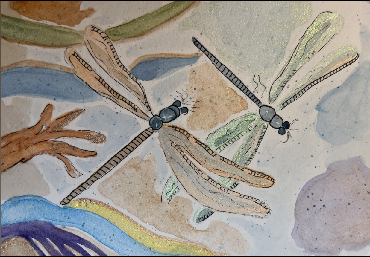 Butterflies, Friendship and a Magical Mess