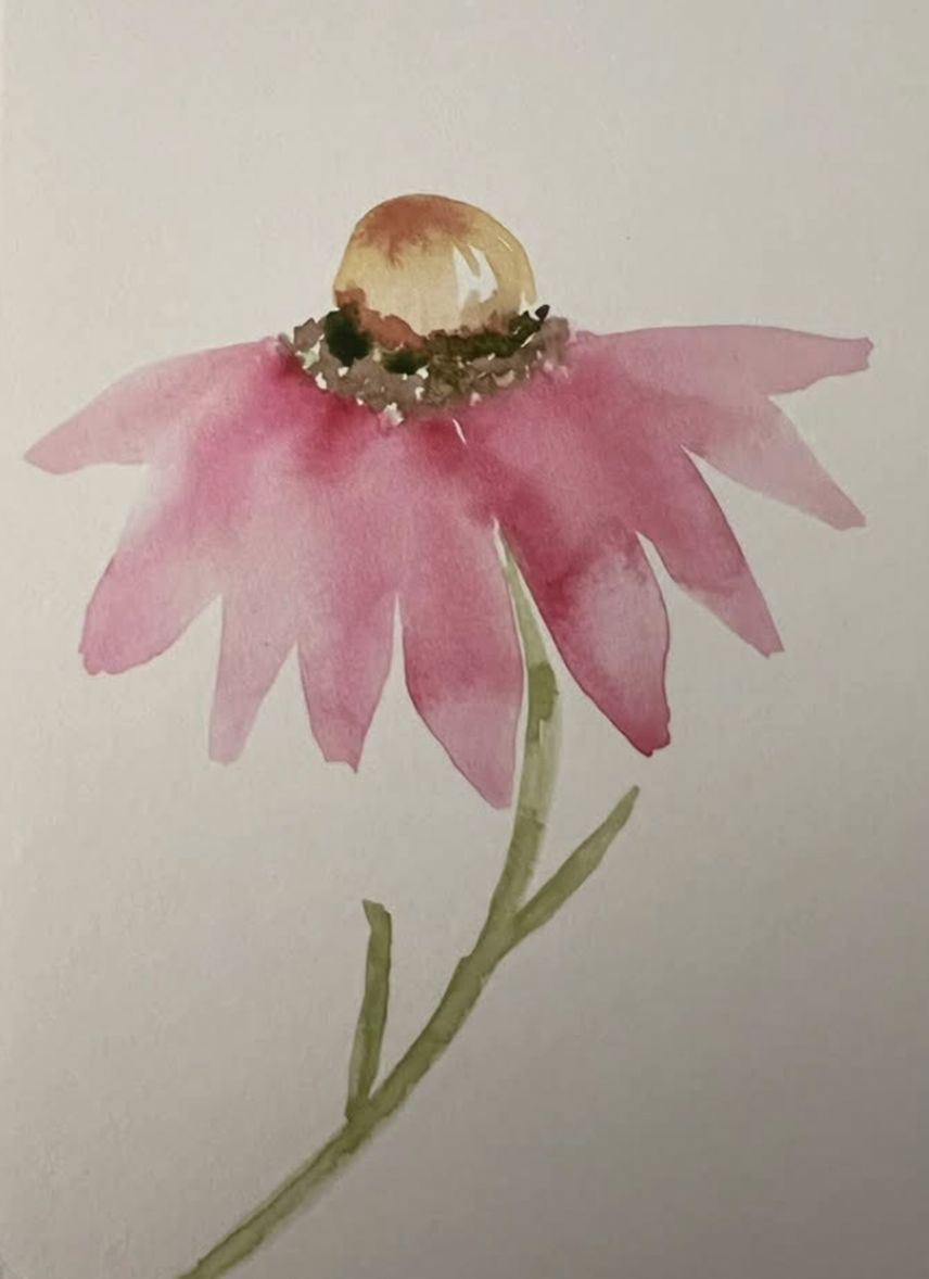 Flowers, Fragrance and a Whole Lot of Trying