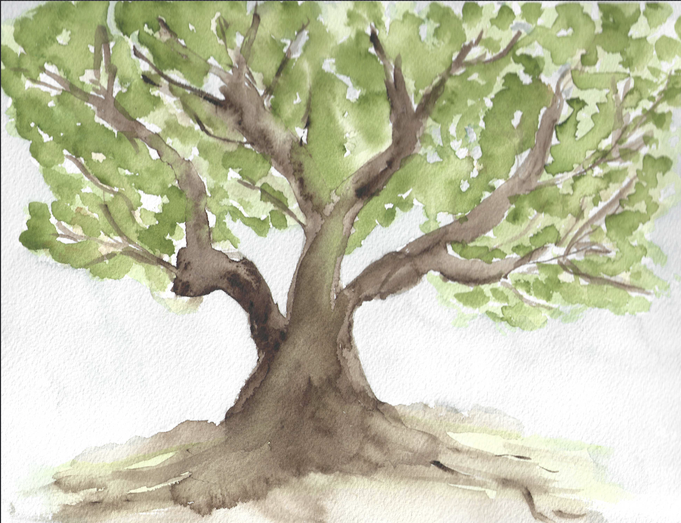 The Trees Have Known All Along