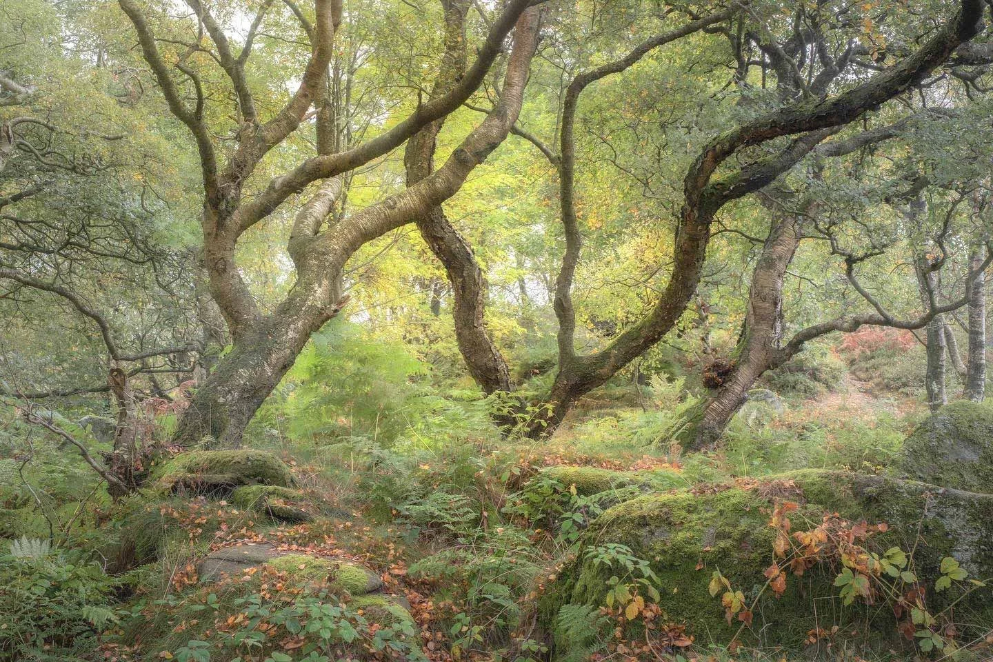 Reaching