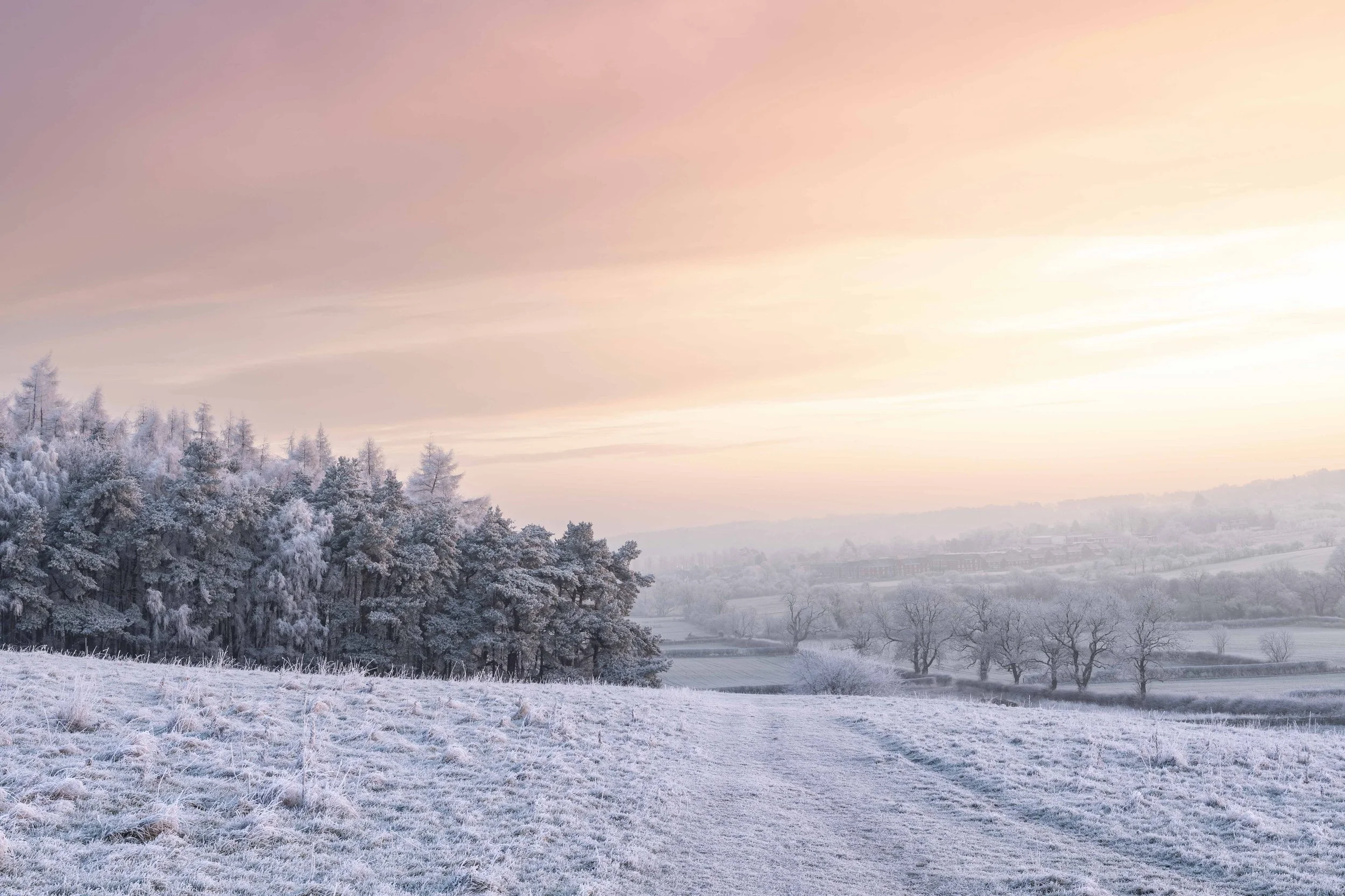 Winters light