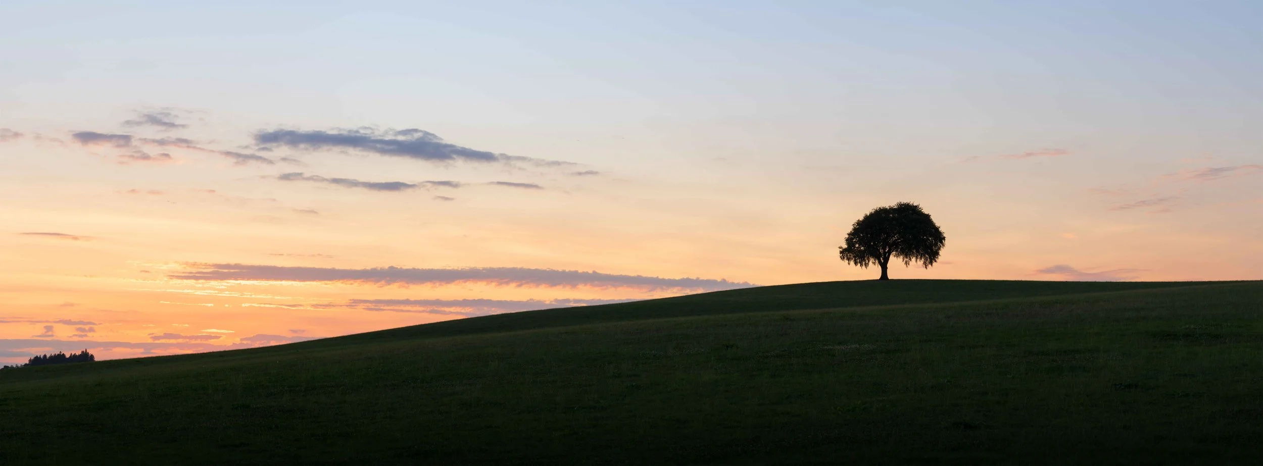 Lone tree hill