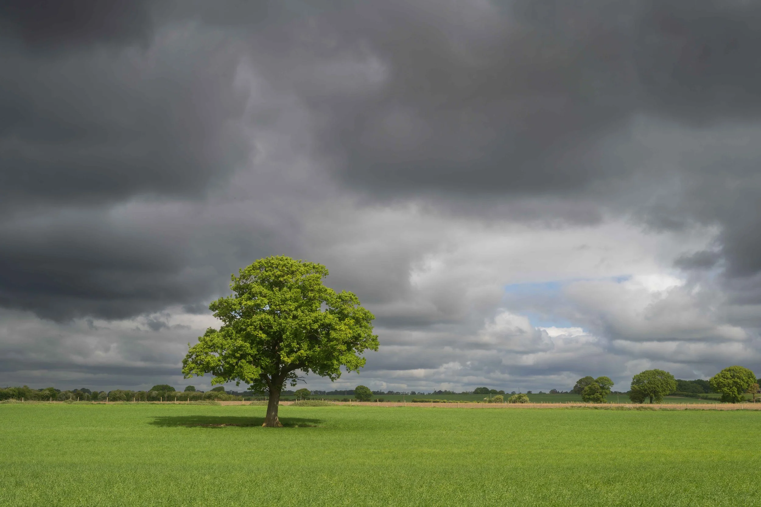 Storm light