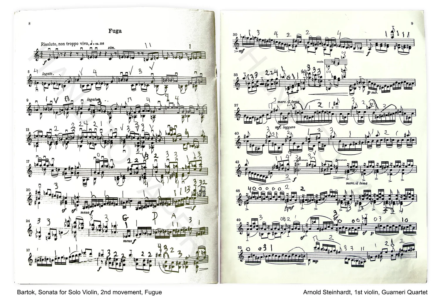 Steinhardt — The Mind to Music Project