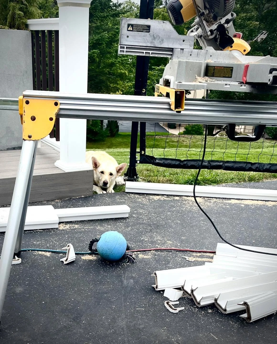 From supervising the crews to testing out the new boards, dogs always keep our projects fun. Happy National Dog Day to all the good boys and girls out there! #nationaldogday #furrysupervisor #dogsatwork #dogsatworkkeepeveryonehappy #dogsofinstagram❤️