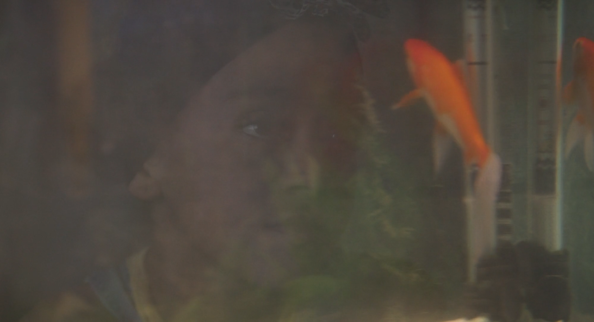 Screenshot 2023-08-24 073657.png