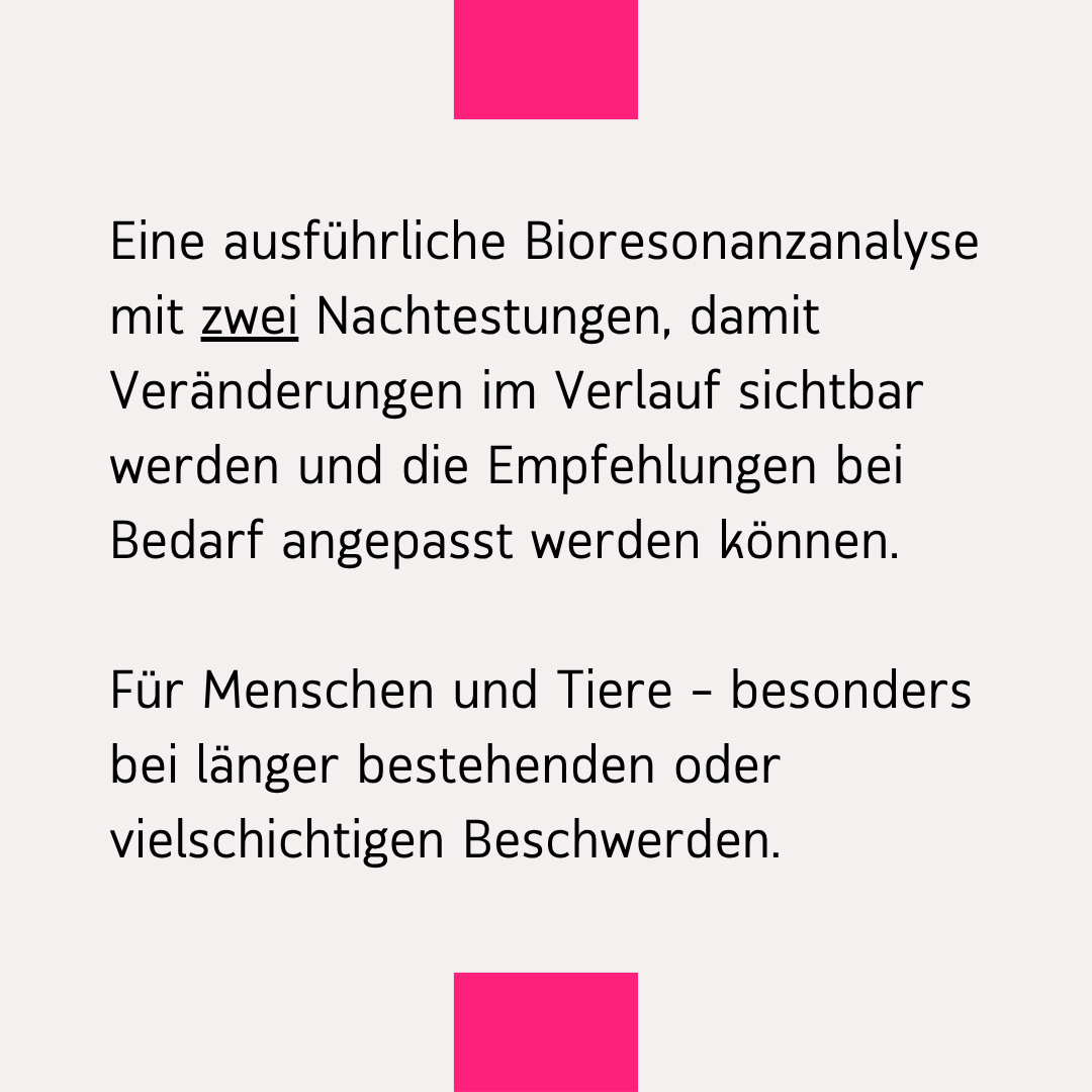 Bioresonanzanalyse mit Begleitung.png
