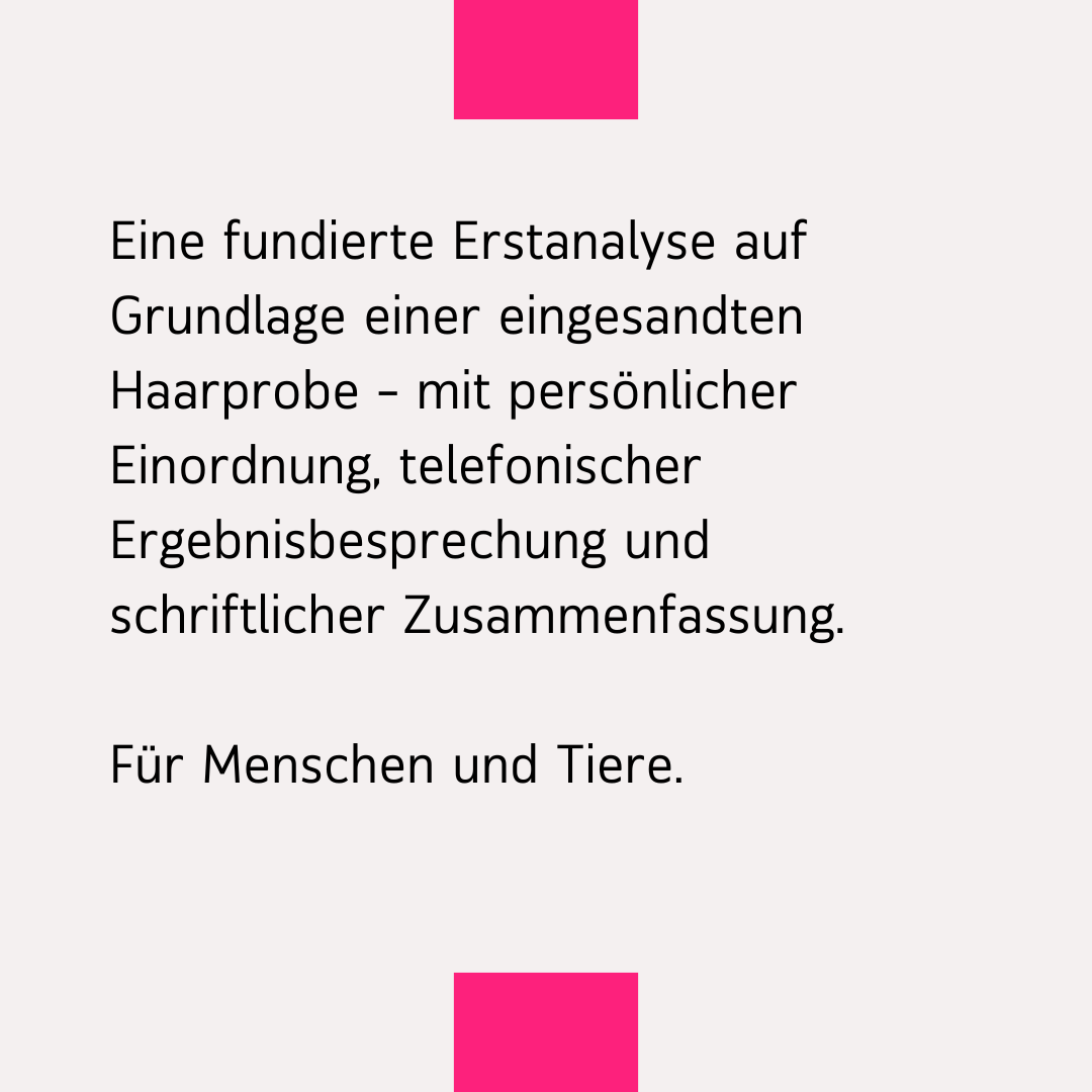 Bioresonanzanalyse (1).png