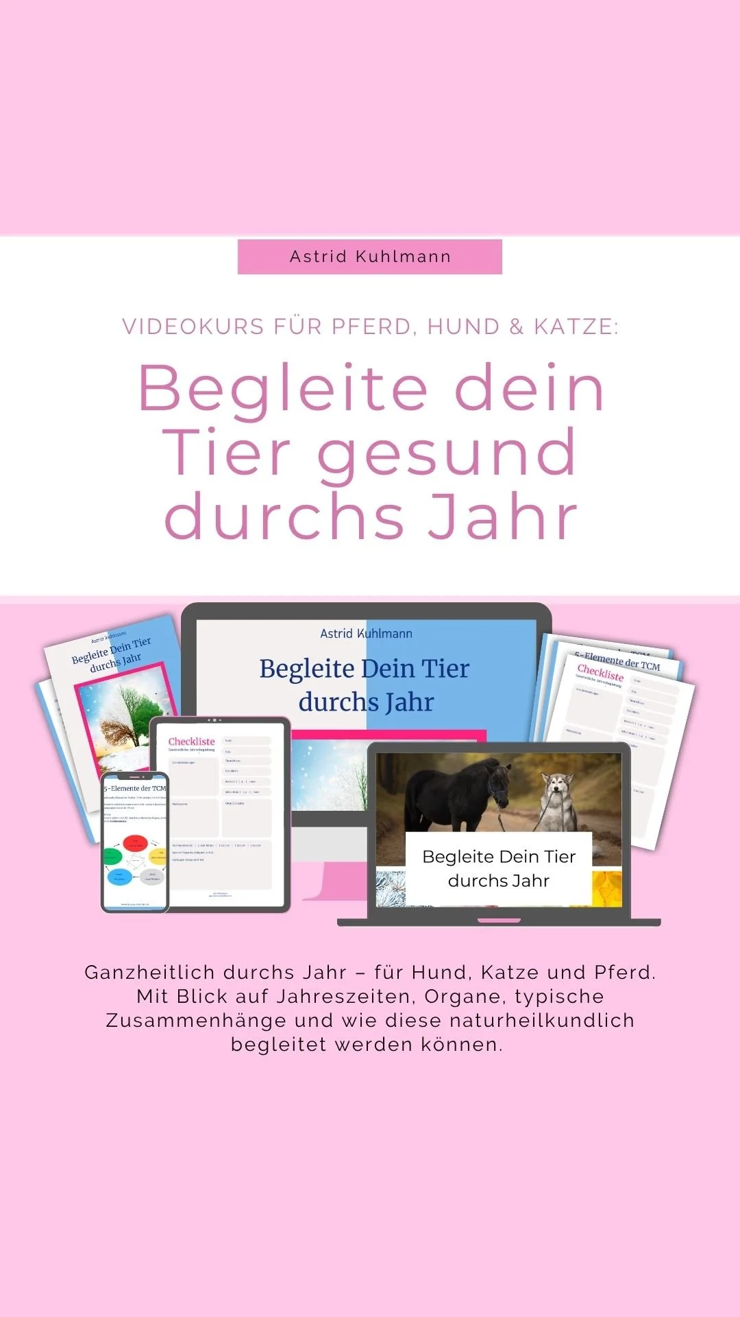 Gesund durchs Jahr mit Hund, Katze und Pferd (Videokurs)