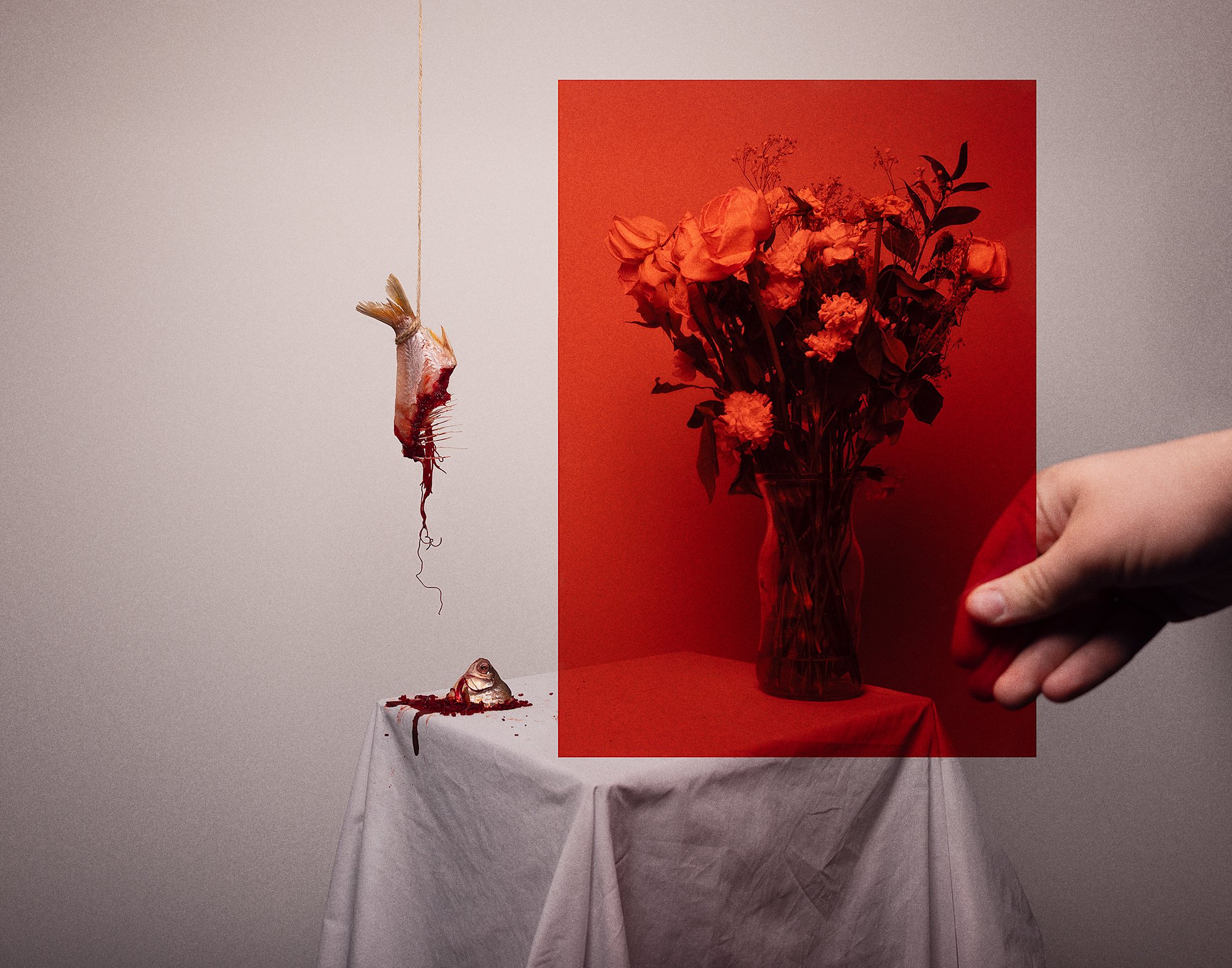 Vase of dying flowers obstructed by sheer red sheet held by hand. Bloody fish head lies on table below suspended fish carcass, bones and guts spilling out