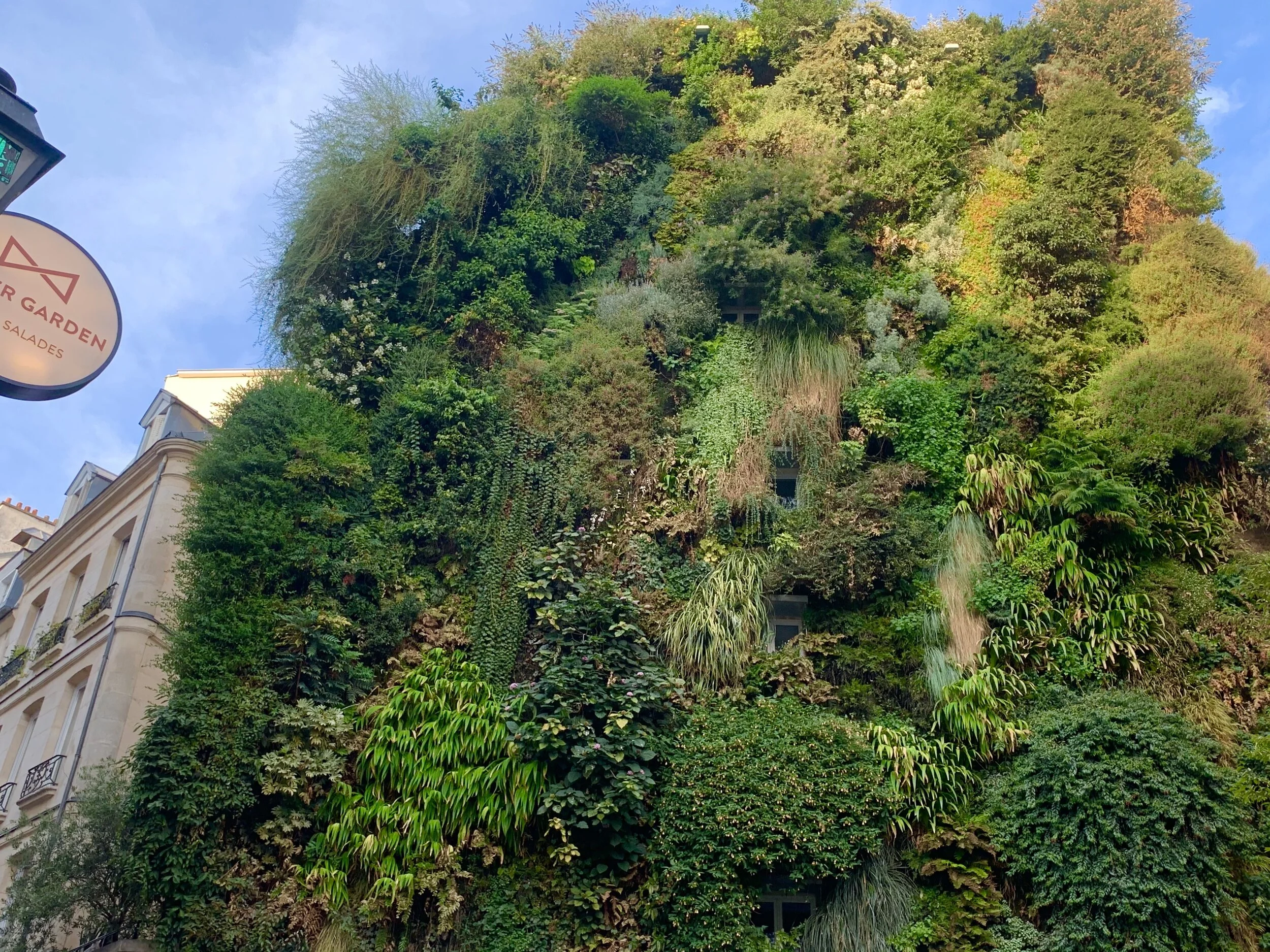 Green walls and green facades to cool Paris 