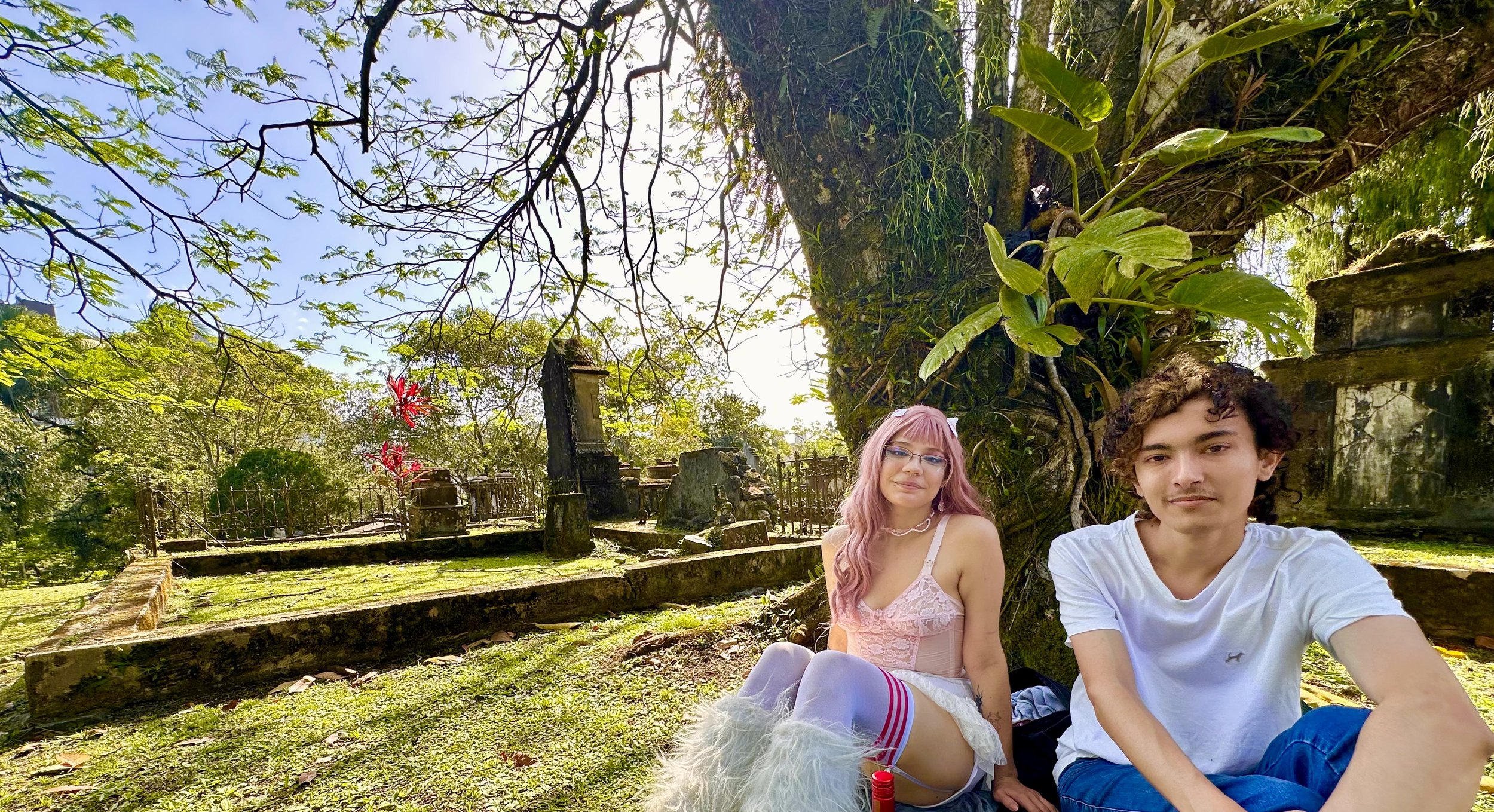 Repurposing and Renaturalising Graveyards: from Silent Landscapes to Living Urban Commons