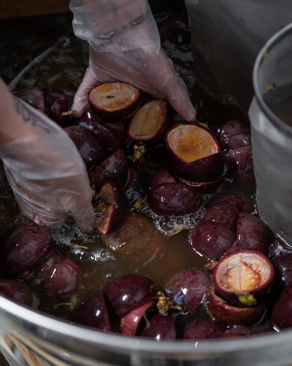 Hamaka Creativity Lab Kombucha - Plantbased Photography Indie Book Mag Publishing Canada-00786.jpg