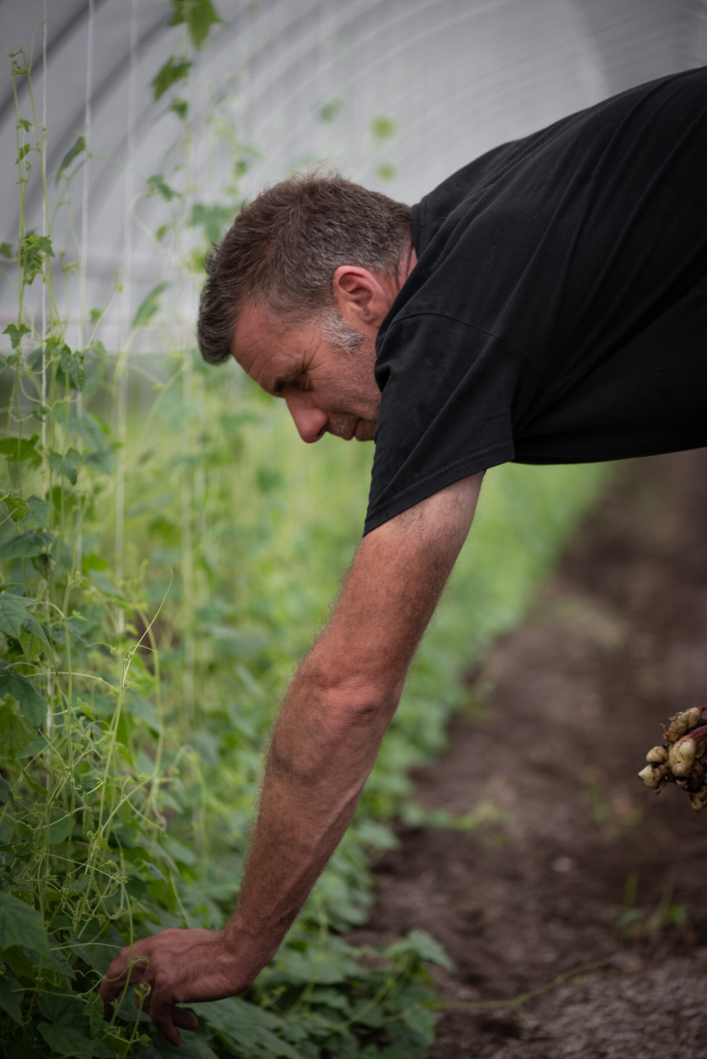 Hamaka Creativity Lab - Plantbased Photography Indie Book Mag Publishing Ontario - Loco Fields-1449.jpg