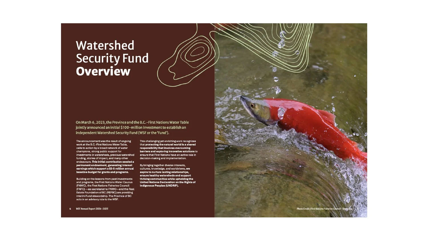 Hamaka Creativity - Alieska Robles - Watershed Security Fund Design-04.jpg