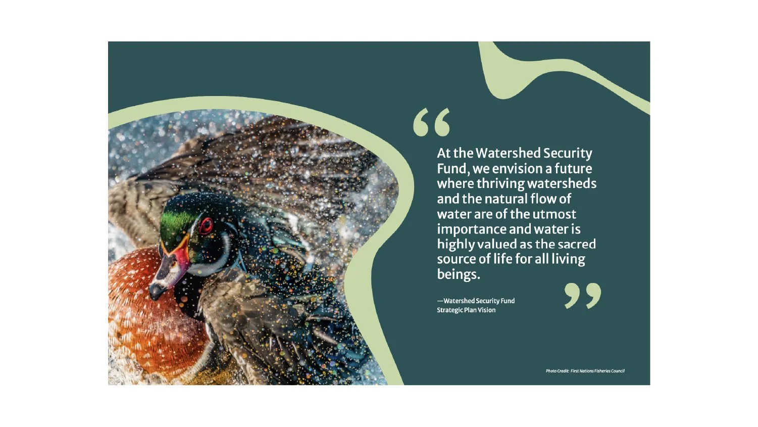 Hamaka Creativity - Alieska Robles - Watershed Security Fund Design-02.jpg