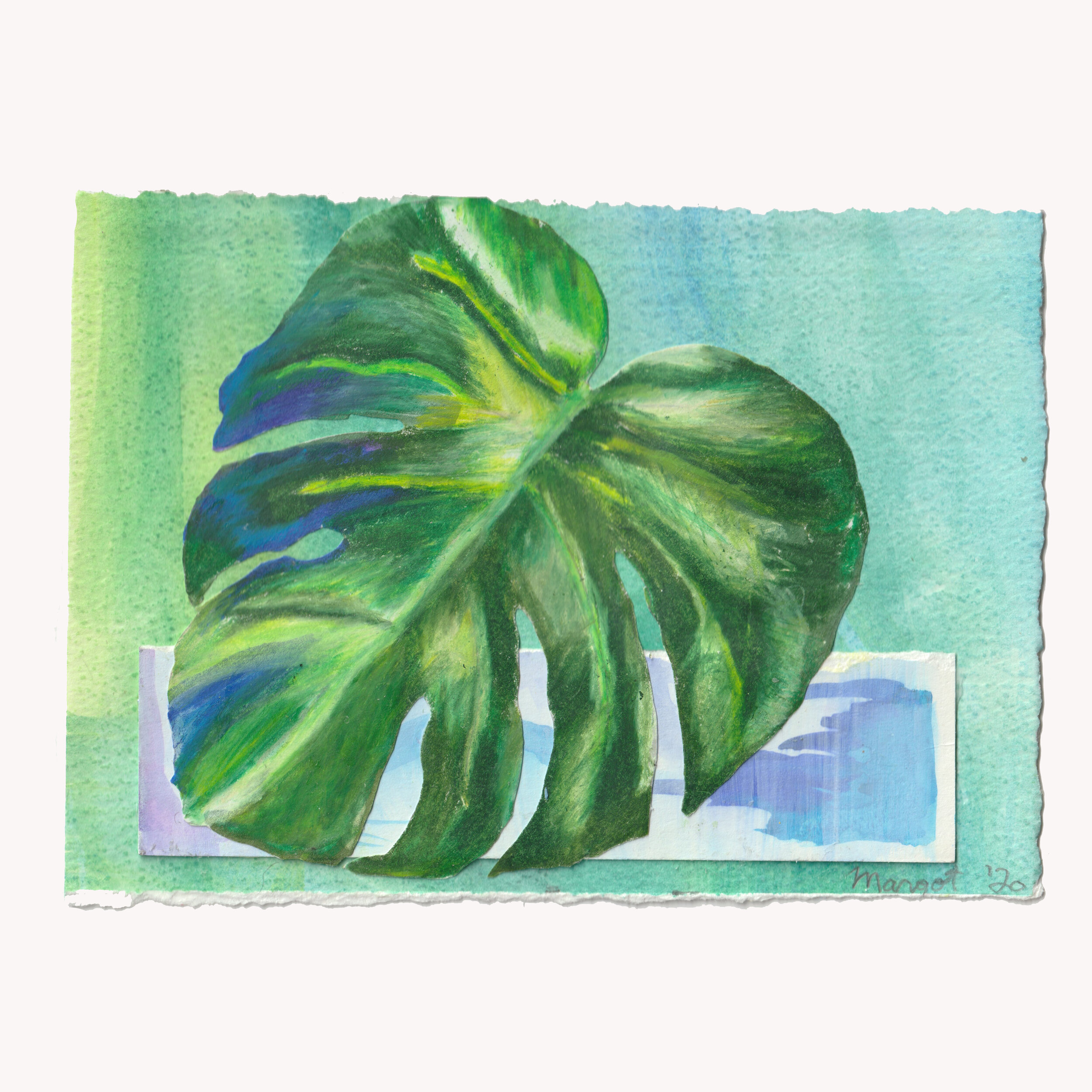 Monstera Leaf- Floating Plants Series 03- by Margot