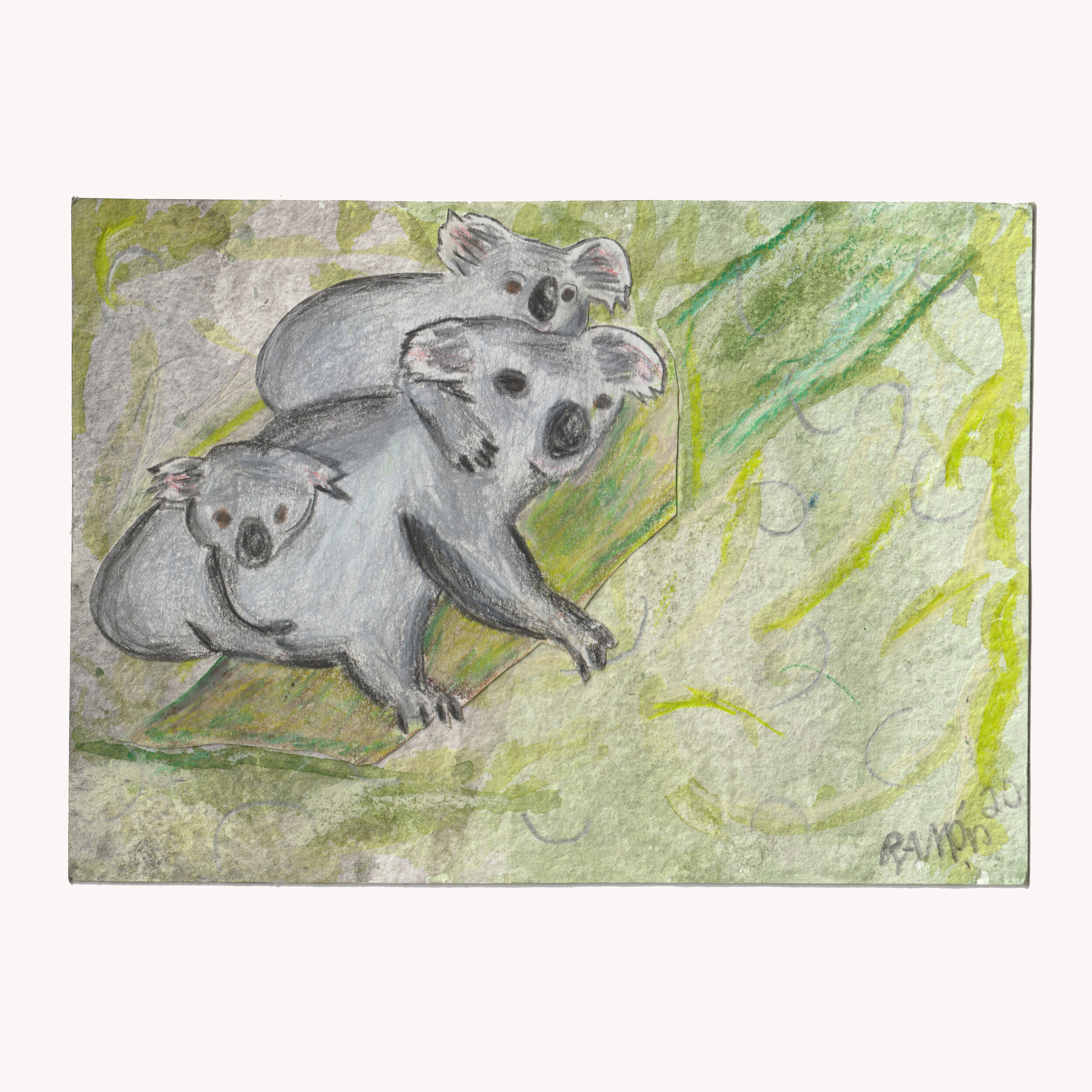 Koala - Animal Fam Series 02 - by Ramón