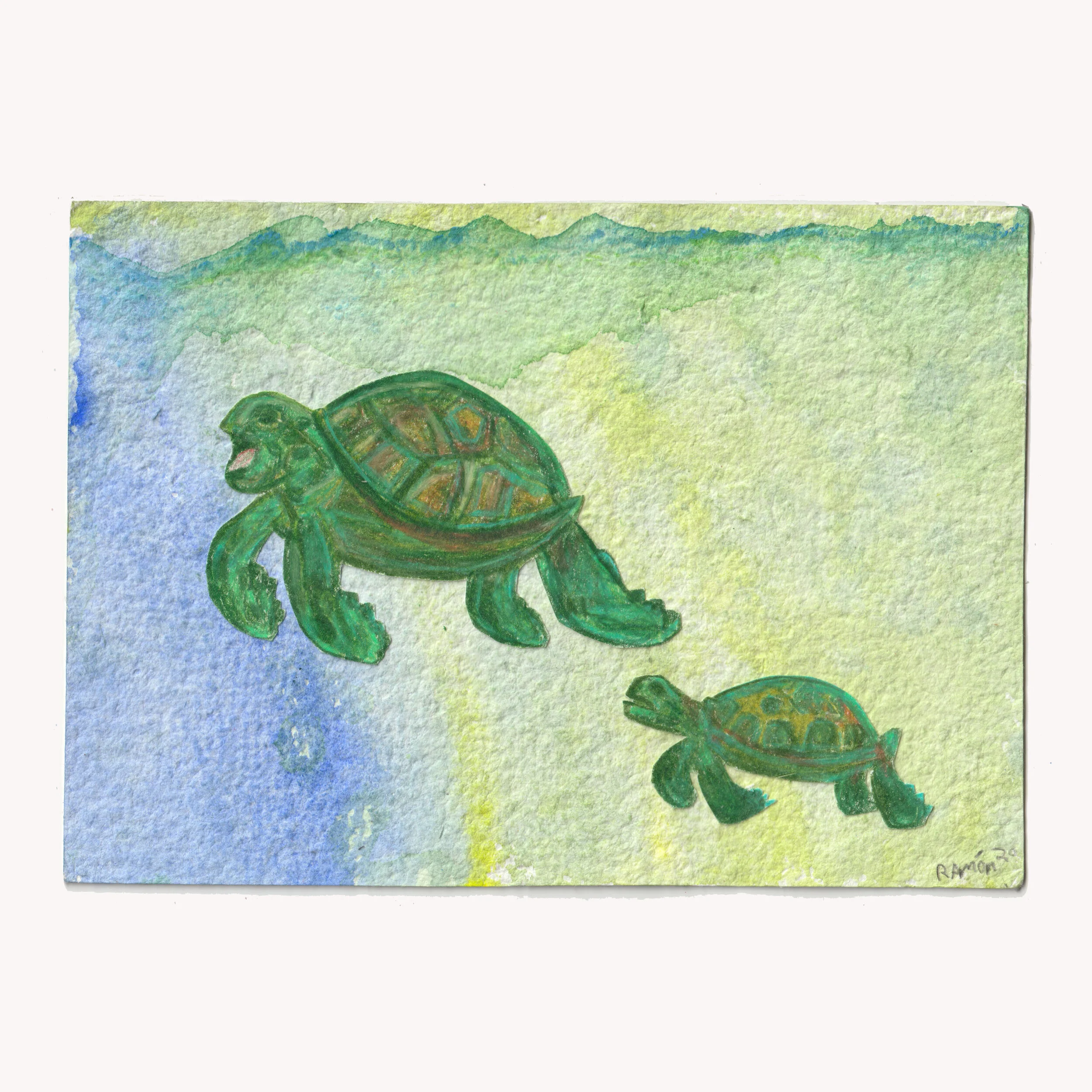 2020 Ramon sea turtle site ready.jpg