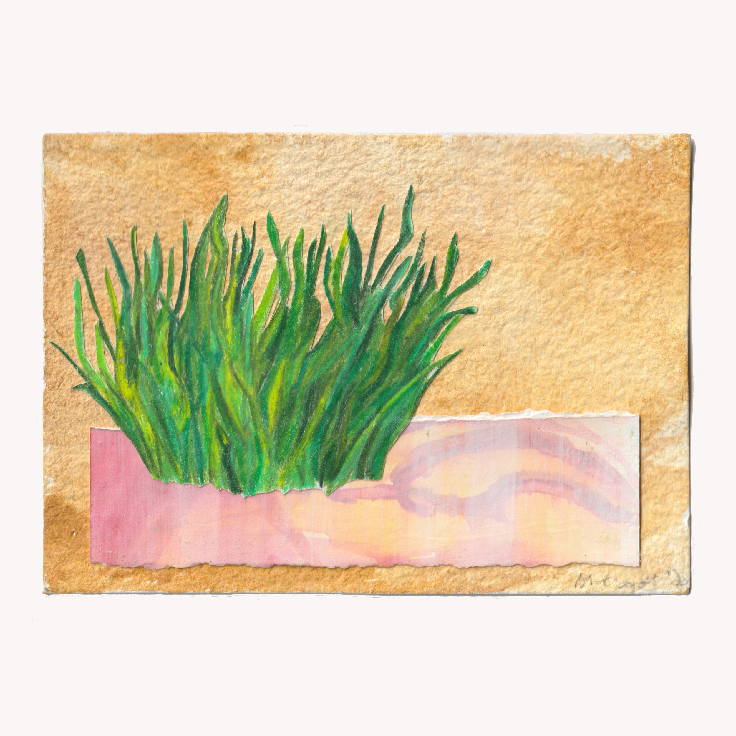 Wheat Grass - Floating Plants Series 04 - by Margot