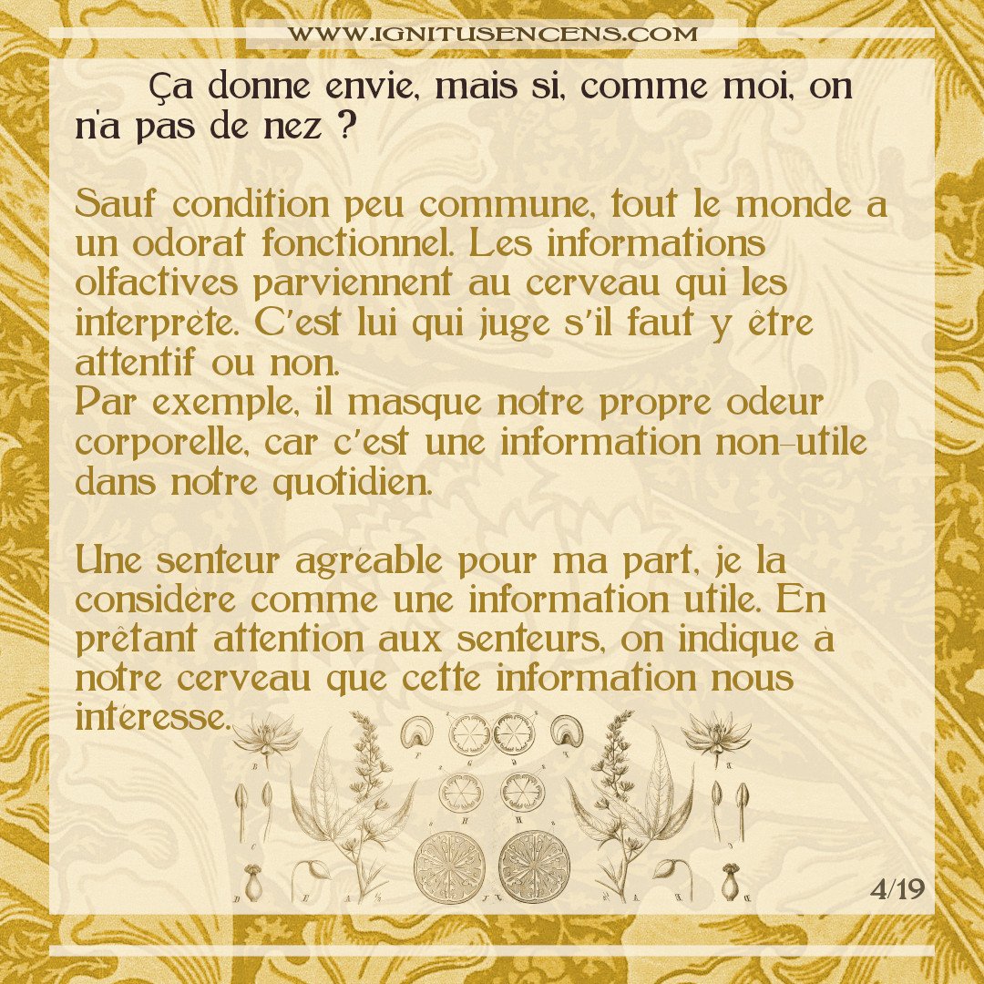 Page 4/19