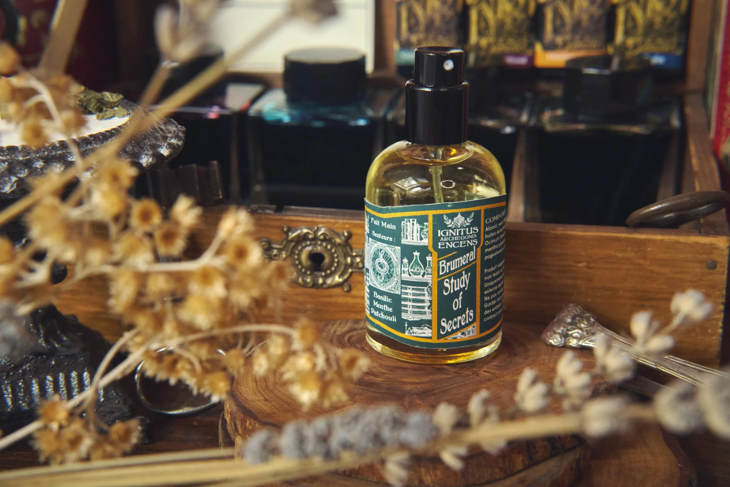 _DSF3477 1 - Study of Secrets - 2500x1667.jpg