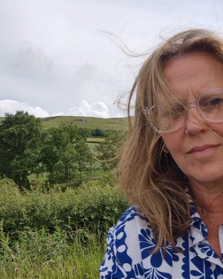 An appreciation post for the road, half way on the long drive to Aberystwyth for @aberystwythpoetryfestival So many red kites and baby lambs and the mountains, the mountains! The green! What a gift 💚 I don't take it for granted #poetlife