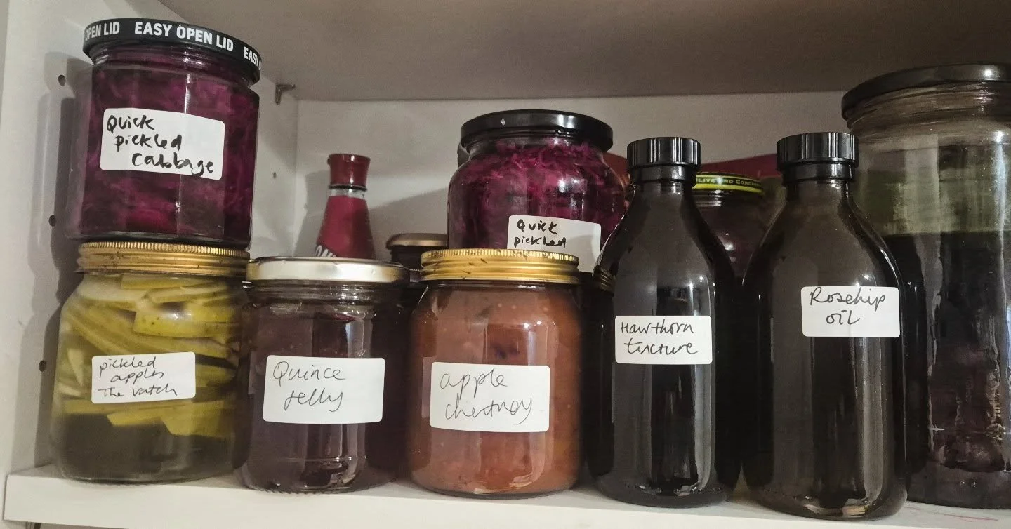 mad fer picklin ✌🏼