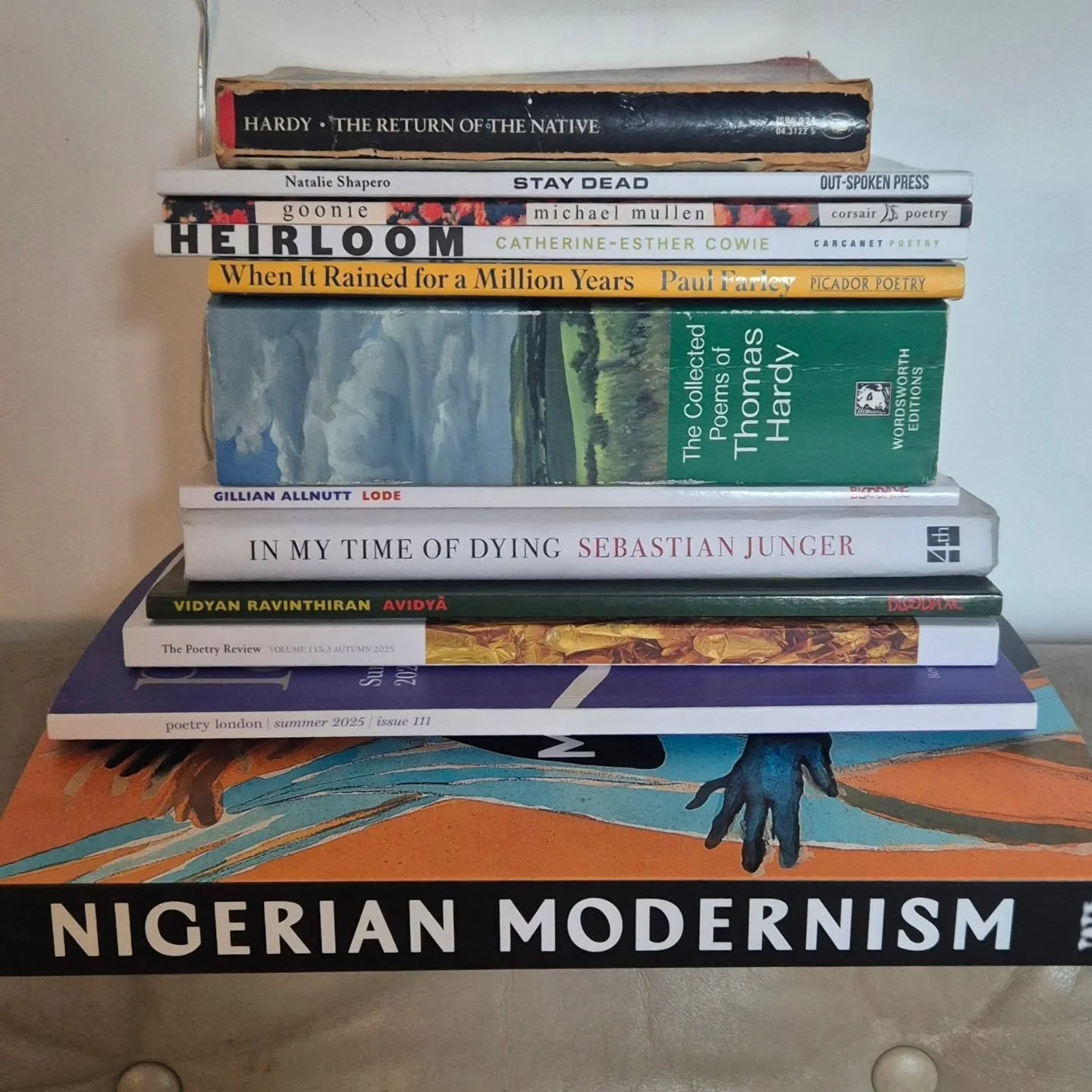 October reads 📚 
.
.
.
.
A nostalgic edge to these, returning to book loves of old and Nigeria - i lived there a while, now reconnecting through visual art, how much to learn for those of us interested in decolonising and reclaiming our culture 🧡
#