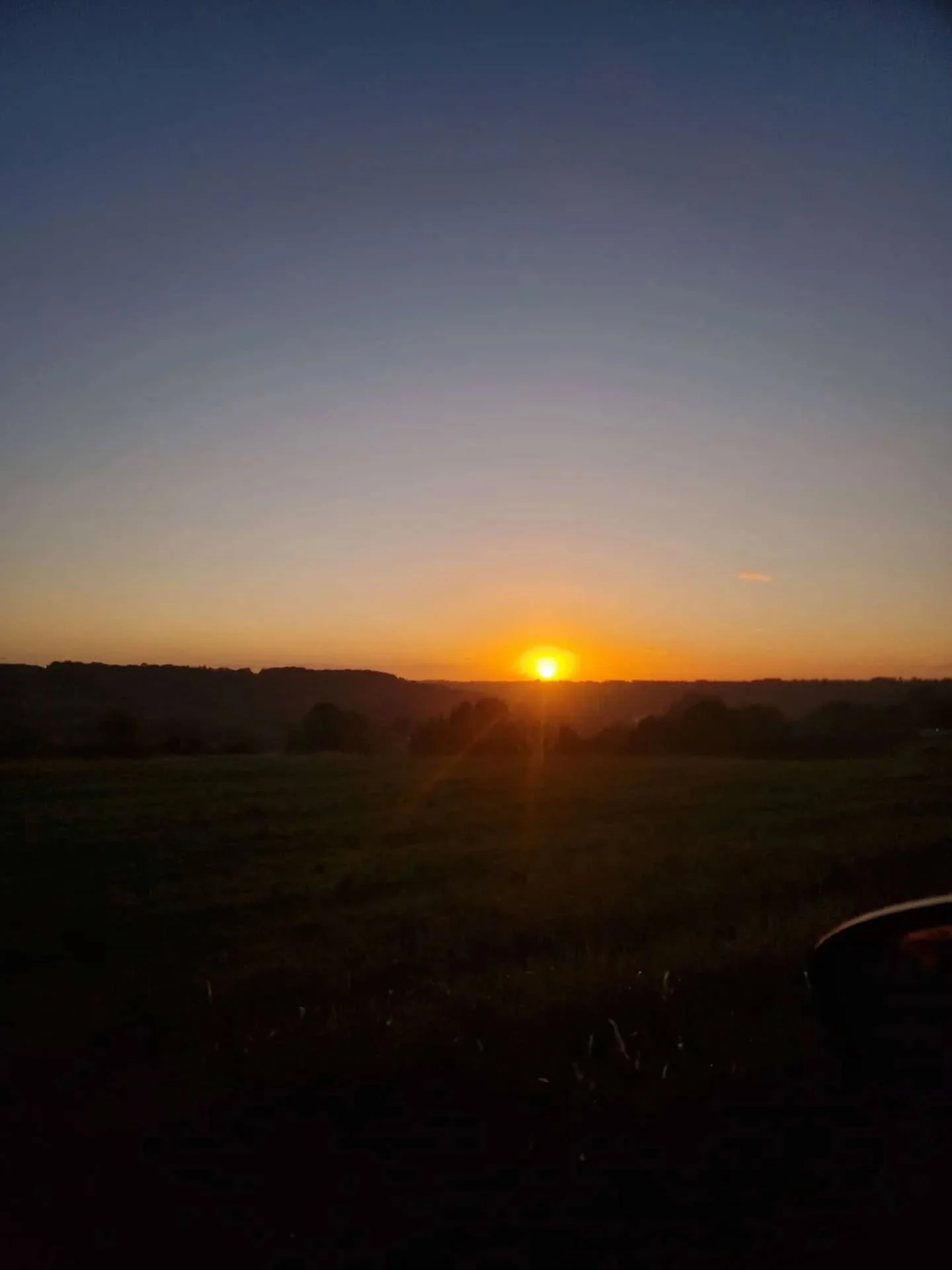 🧹 school run sunrise 🧹