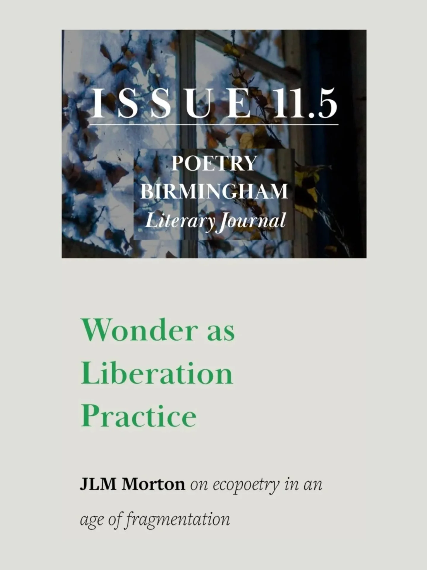 WONDER AS LIBERATION PRACTICE 💫 a hybrid essay commissioned by @poetrybrum w a new poem 'Late Warning', thinking about the embodiment of the imagination, as well as its capacity to express a kind of freedom that can't be contained. Many thanks to ed
