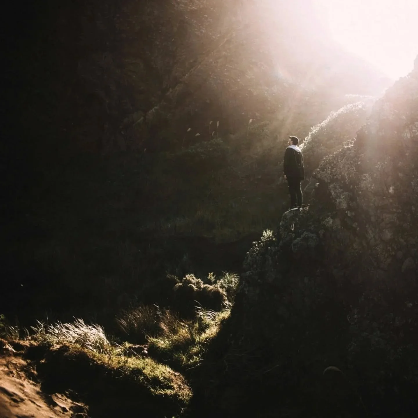 Even Now * my courses for Poetry School and Level Up in January have sold out but there are places on Even Now, a three part workshop that will explore how poetic language can navigate uncertainty, reimagine possibility and tend toward hope. 

I real