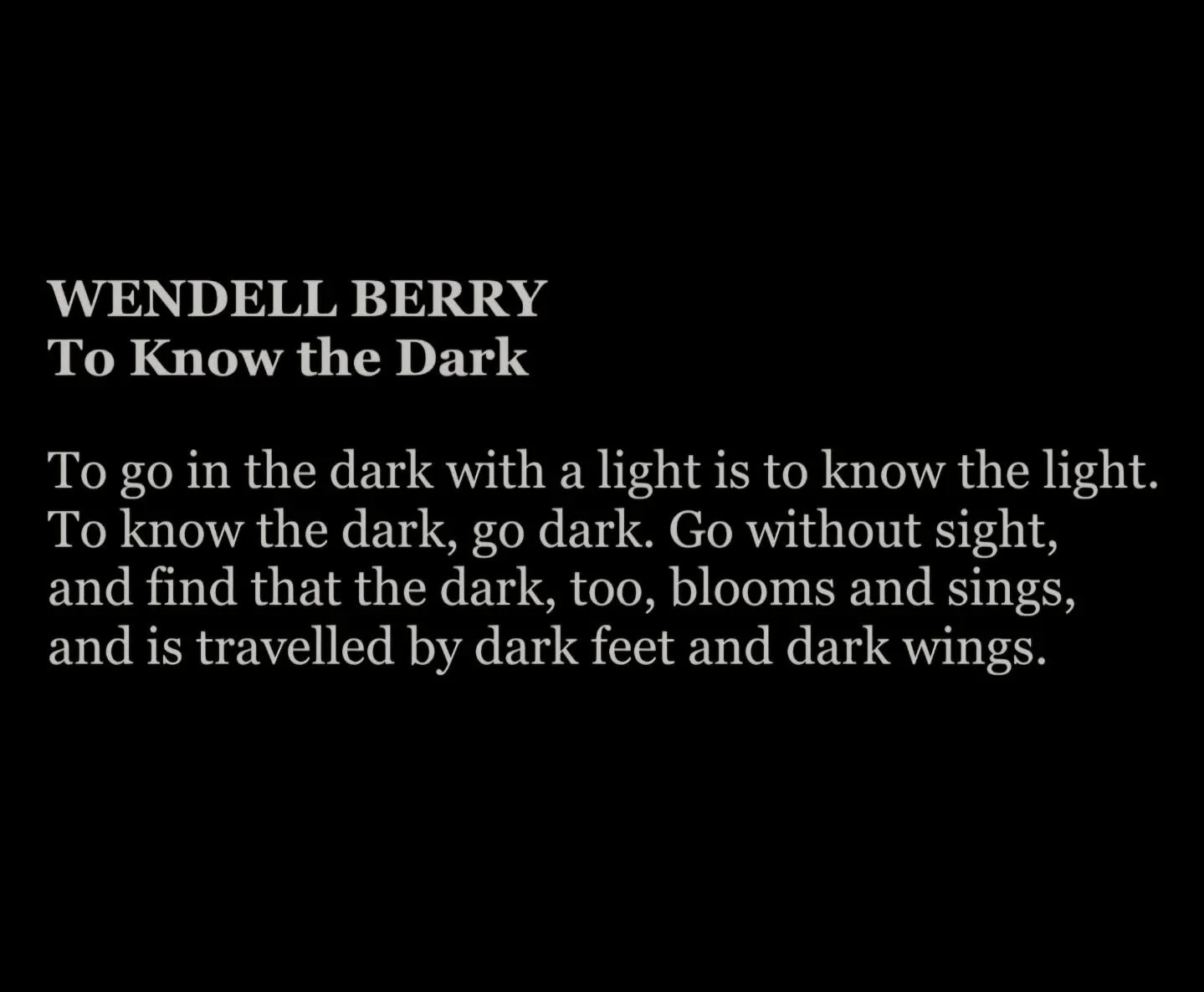 Tonight is the longest night - let's not be too hasty to get back to the light 🌚
.
.
#yule #wintersolstice