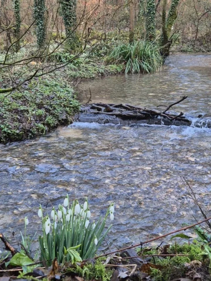 Merrrie Imbolc dear friends. Throw open the windows, light a candle, wash in cold water! Poem by Seamus Heaney from The Spirit Level. The light, always the light ✨️