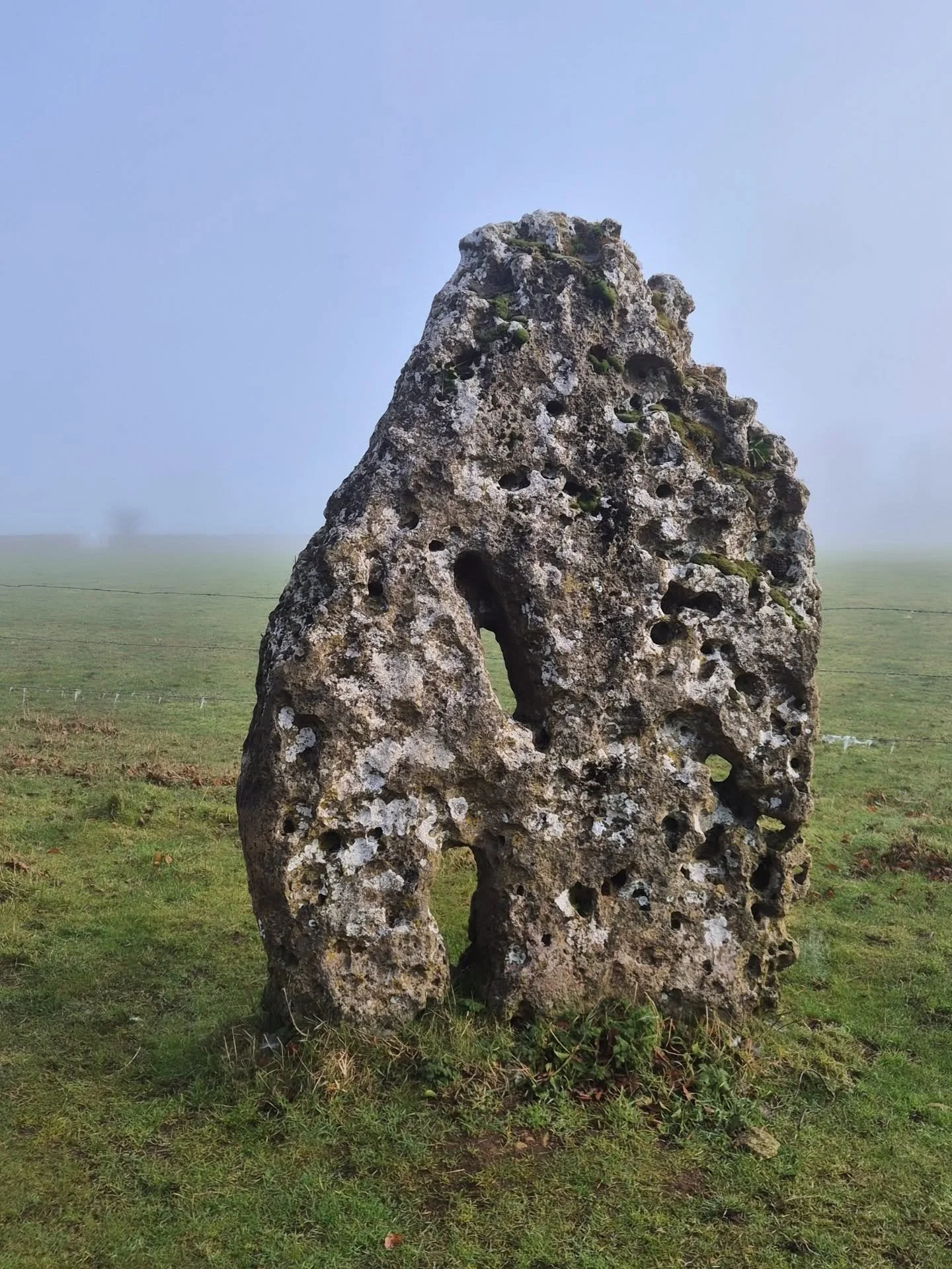 Morning brush w the Longstone 🪨
.
.
Runs around the field on the stroke of midnight it does 👀
.
.
#imbolc incoming 🪨
