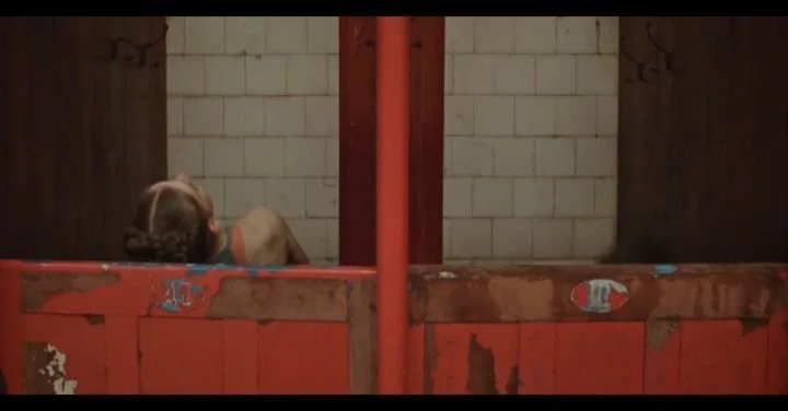 Tomorrow, I'll be reading poems alongside three films for 'We Swim' @stroudfilmfest @museuminthepark the extraordinary Maze from the Scottish Ballet, BAFTA winning Jellyfish &amp; Lobster and The Pool, a community film about our local lido  Poems by 