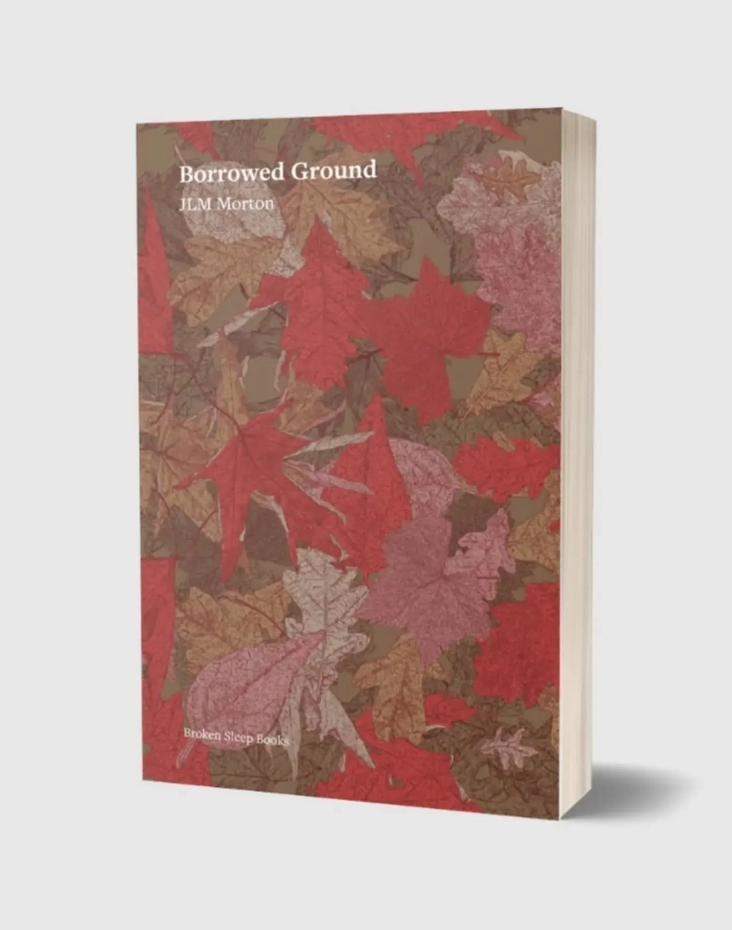 My second poetry collection, BORROWED GROUND is out in exactly six weeks today! Here's what the Poetry Book Society has to say about it: "Borrowed Ground by JLM Morton is a lyric ecology of dread, devotion, and damaged inheritance, written from 