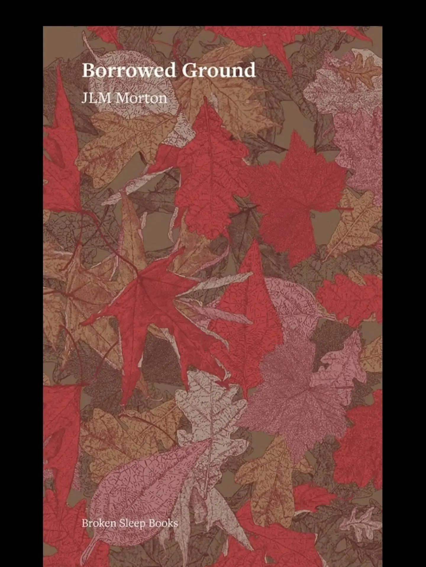 BORROWED GROUND is now available for preorder! Borrowed Ground is JLM Morton's second full collection, a reckoning with land, climate grief, and the entanglement of human and more-than-human life. Rooted in the woodland and river country of the west 
