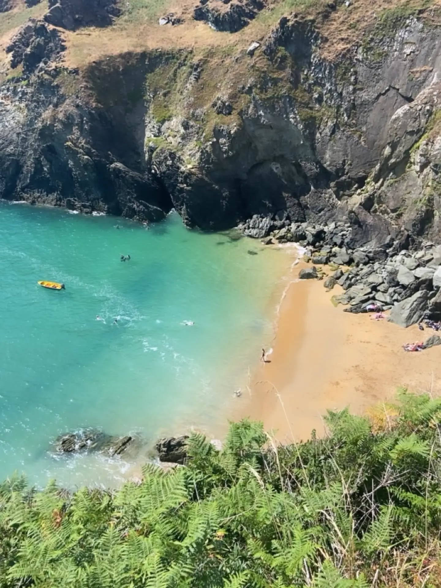 Beach as ultimate commons? South Hams serving 💛🐖💙