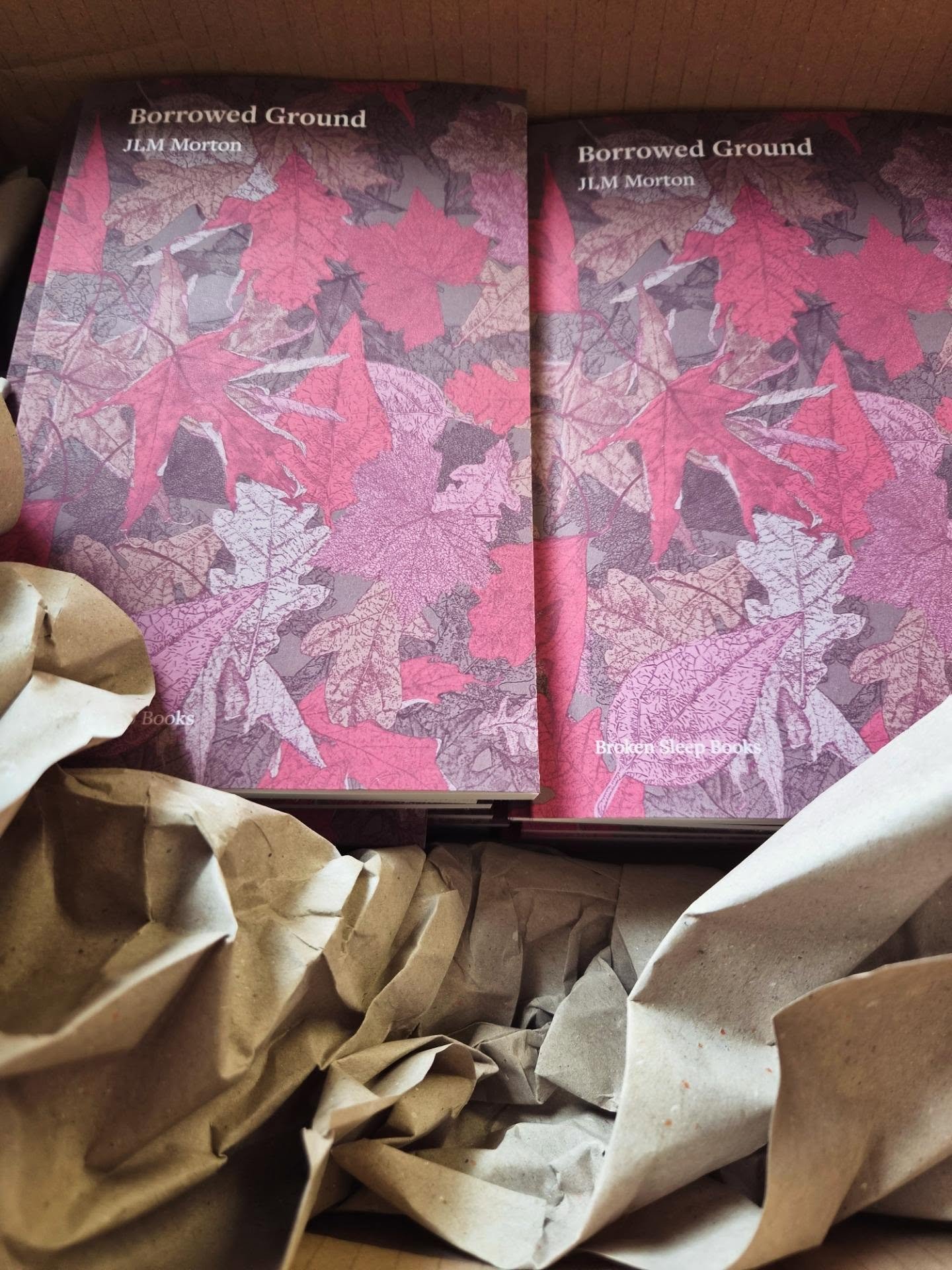 More books have arrived! Good equinox augury. Give me a shout if you'd like a signed copy 💌
#BorrowedGround #poetrycommunity #poem