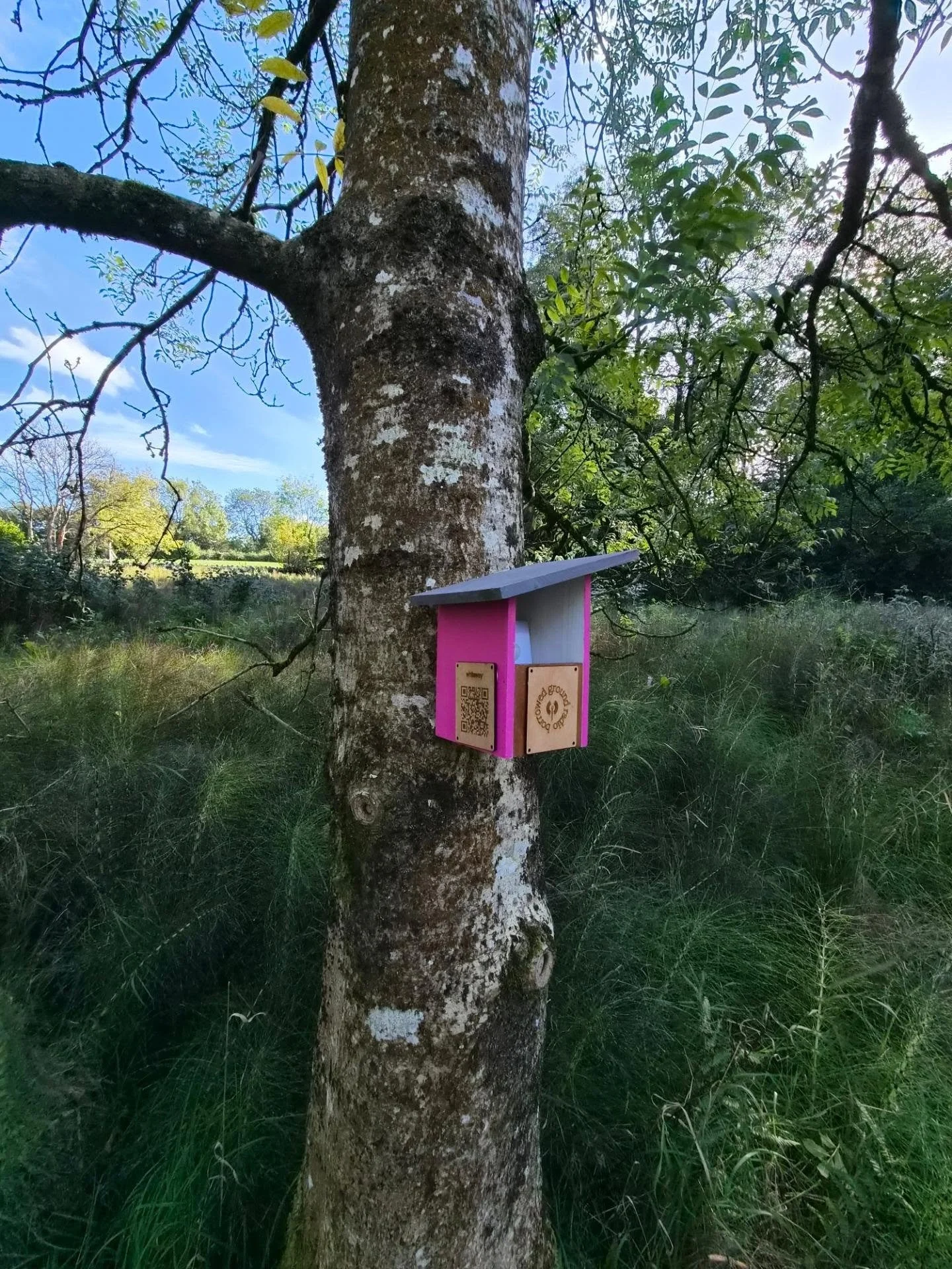 For the past 3 or 4 months I've been puzzling over how, without the means to tour my book, I can take my work into unexpected places and meet people with words where they are. Nights spent soldering speaker wires through the heatwave and scratching m