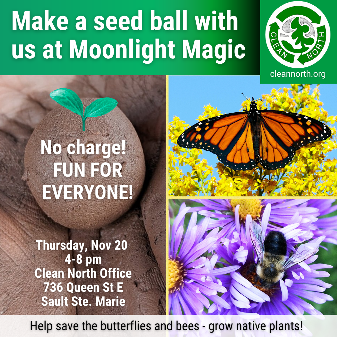 FREE -- Make a Seed Ball with Clean North! 